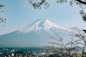 طلای جهانی در سقف تاریخی