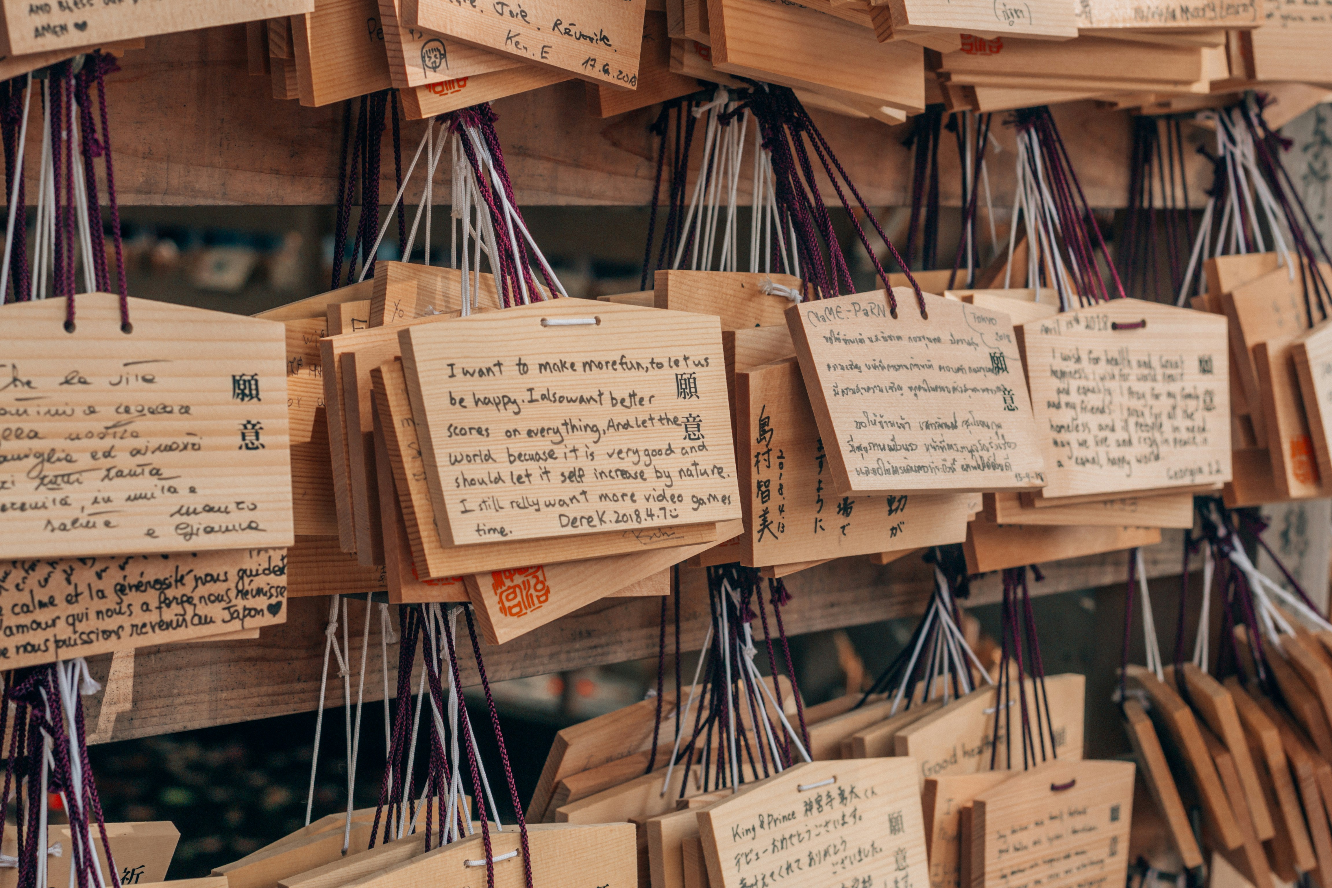 Photo by filizelaerts