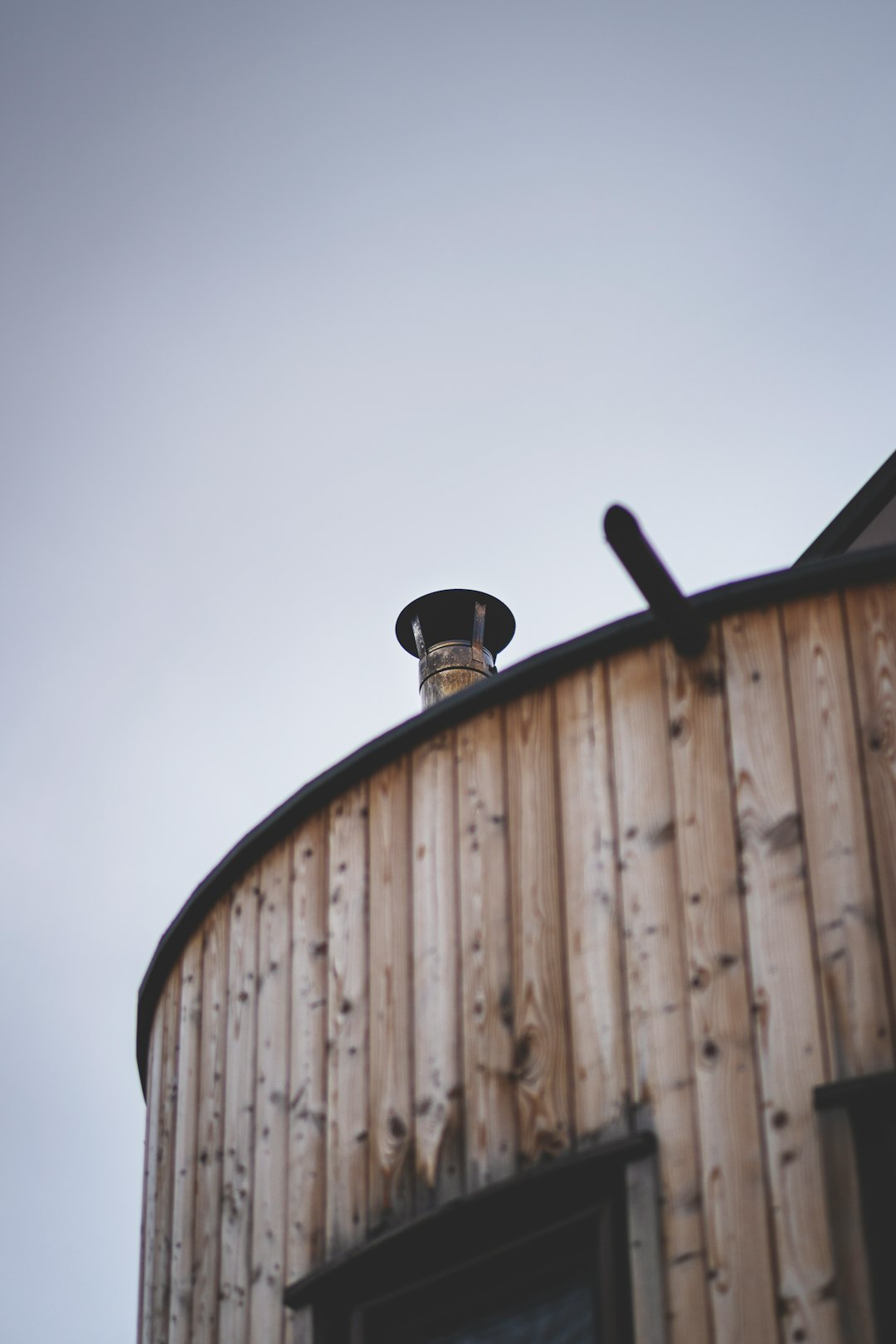 black bird on brown wooden wall