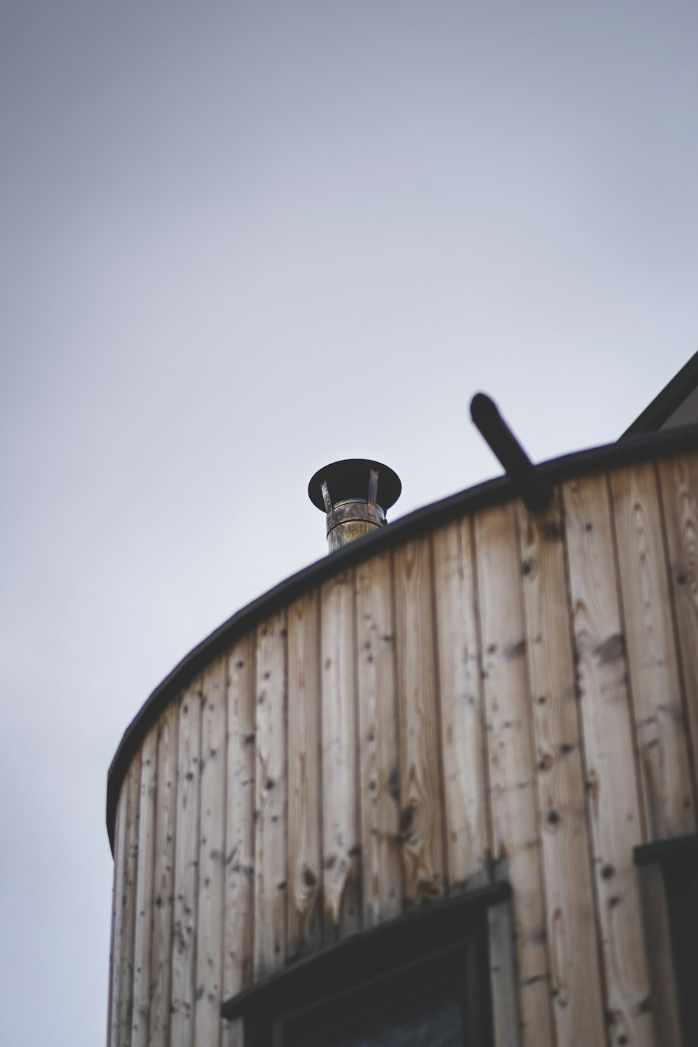 black bird on brown wooden wall