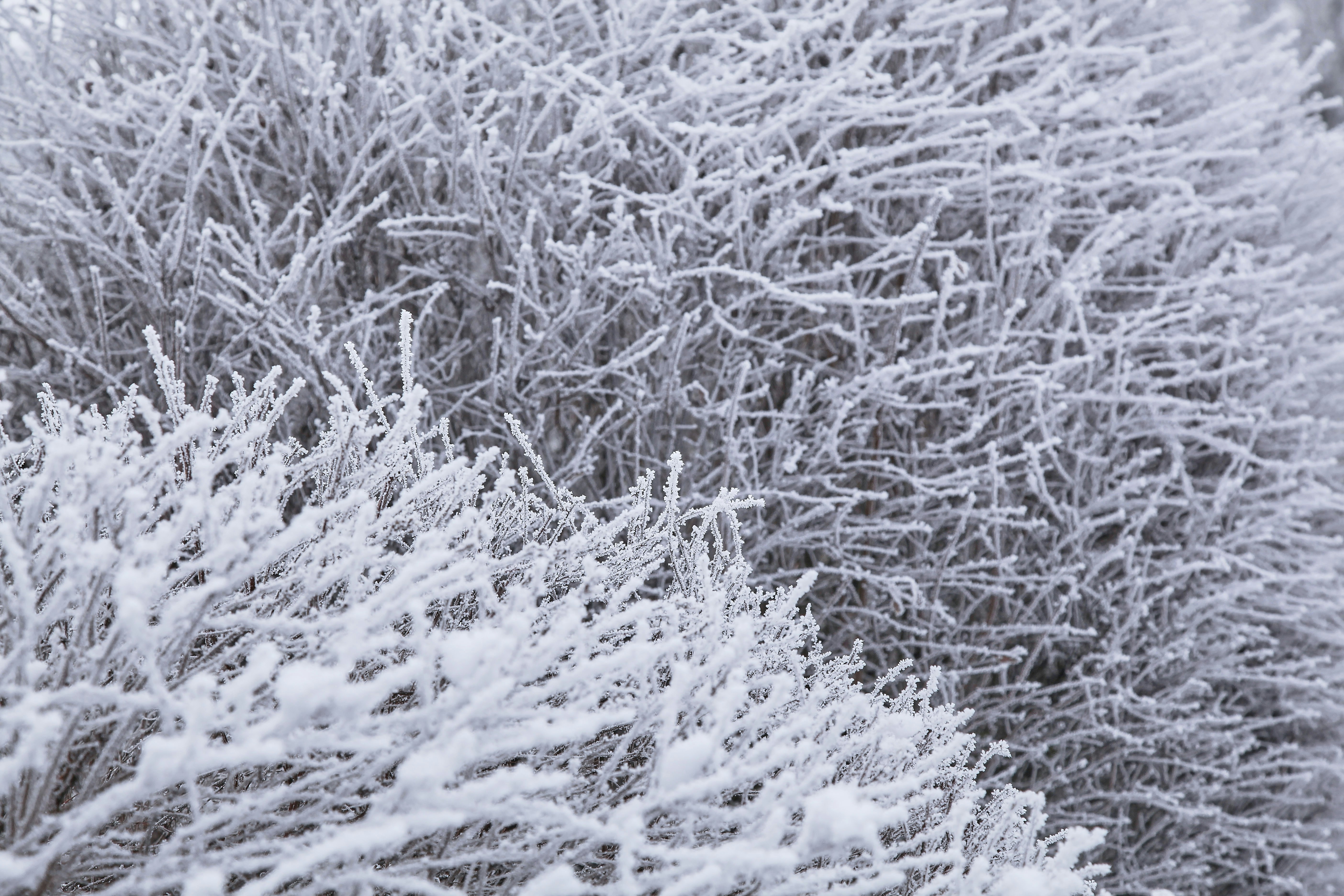 Photo by quadratmedia