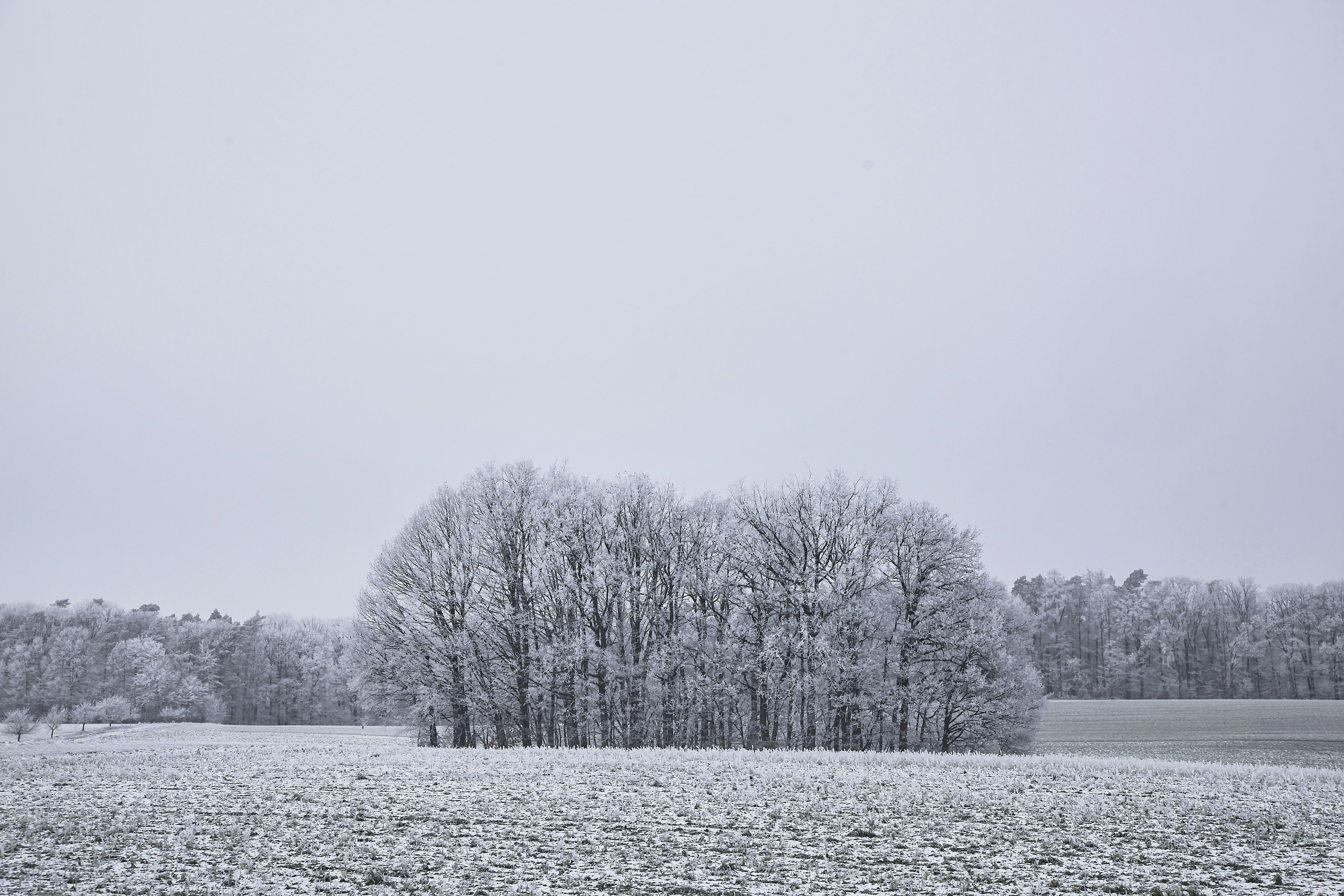 Photo by quadratmedia