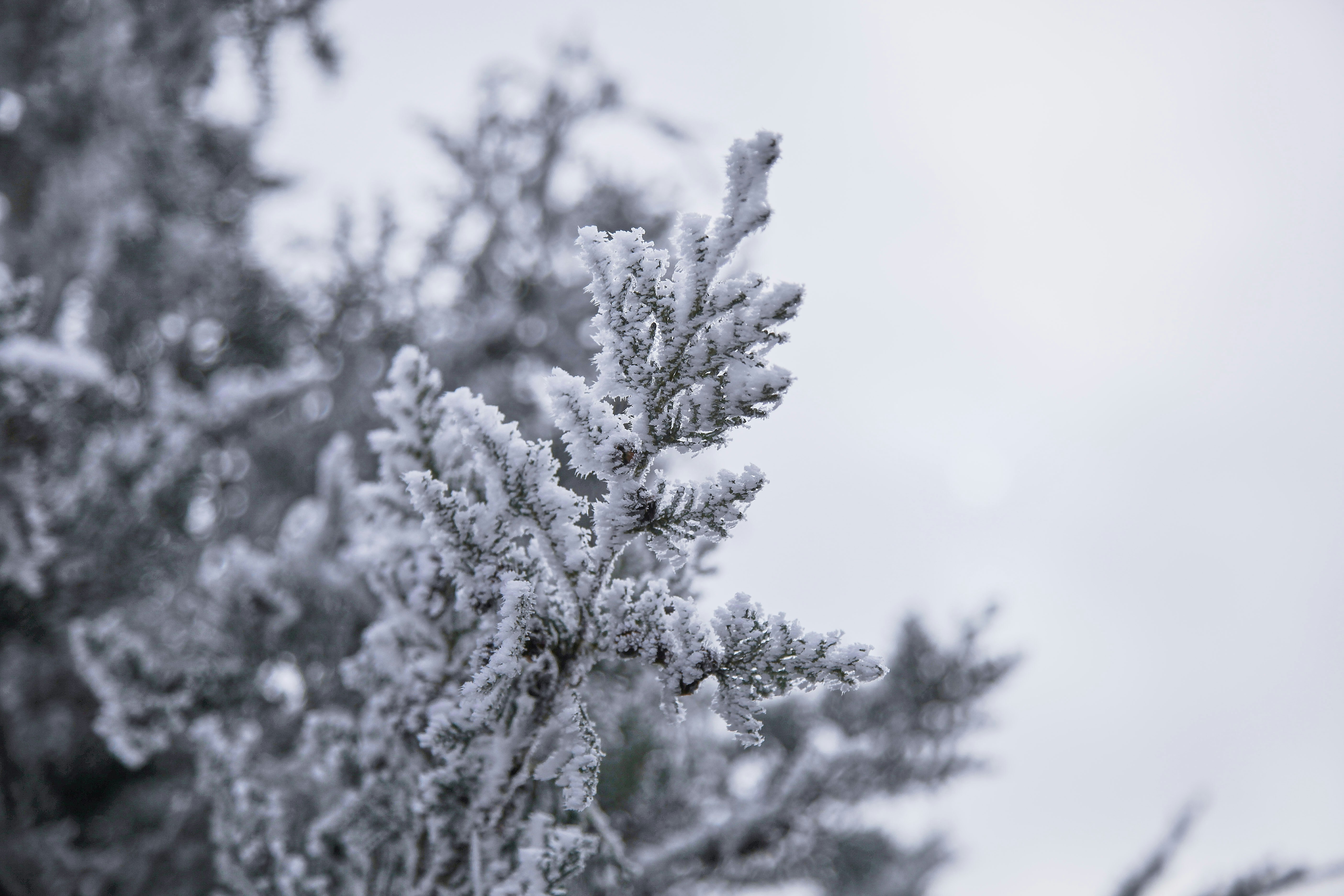 Photo by quadratmedia