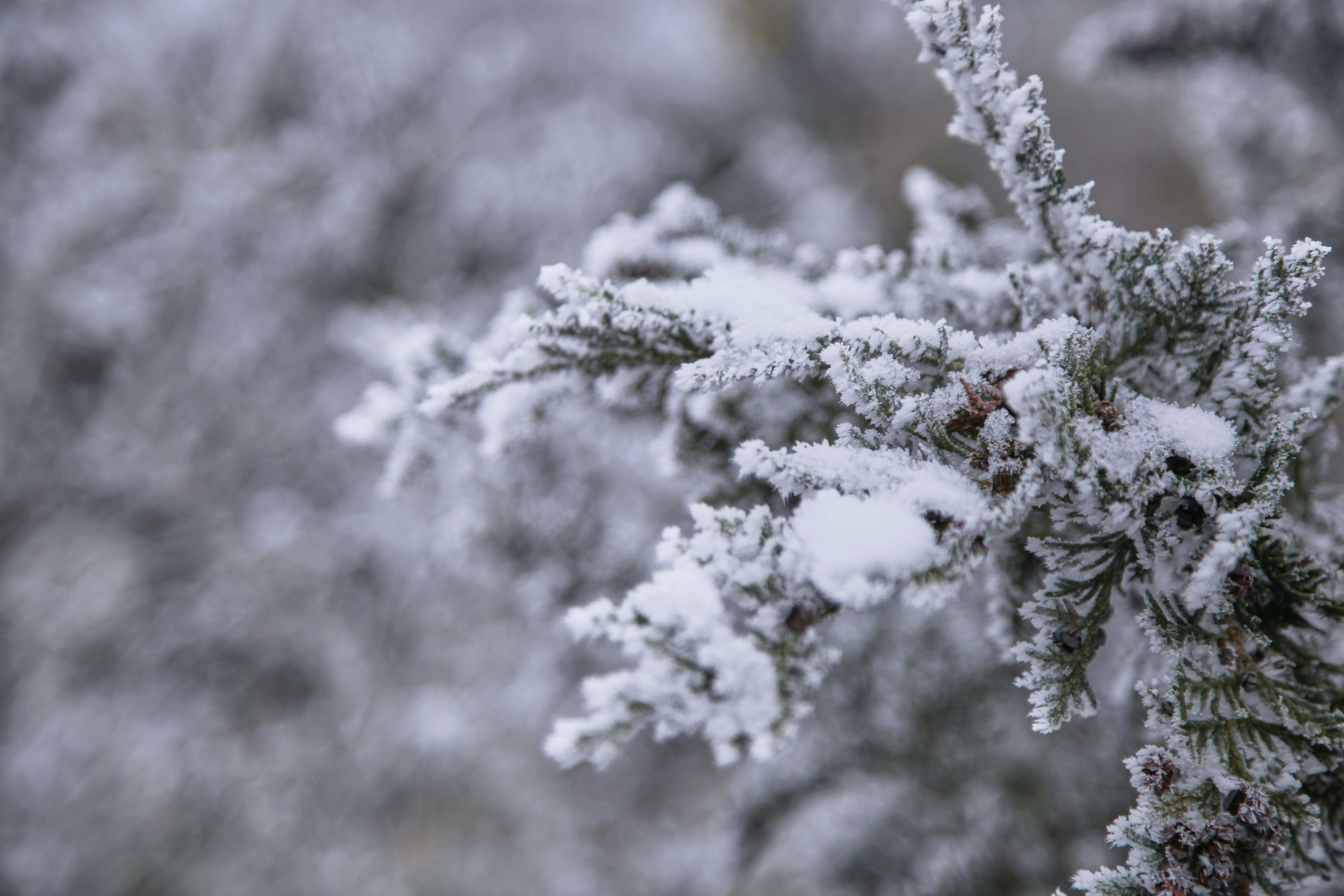 Photo by quadratmedia