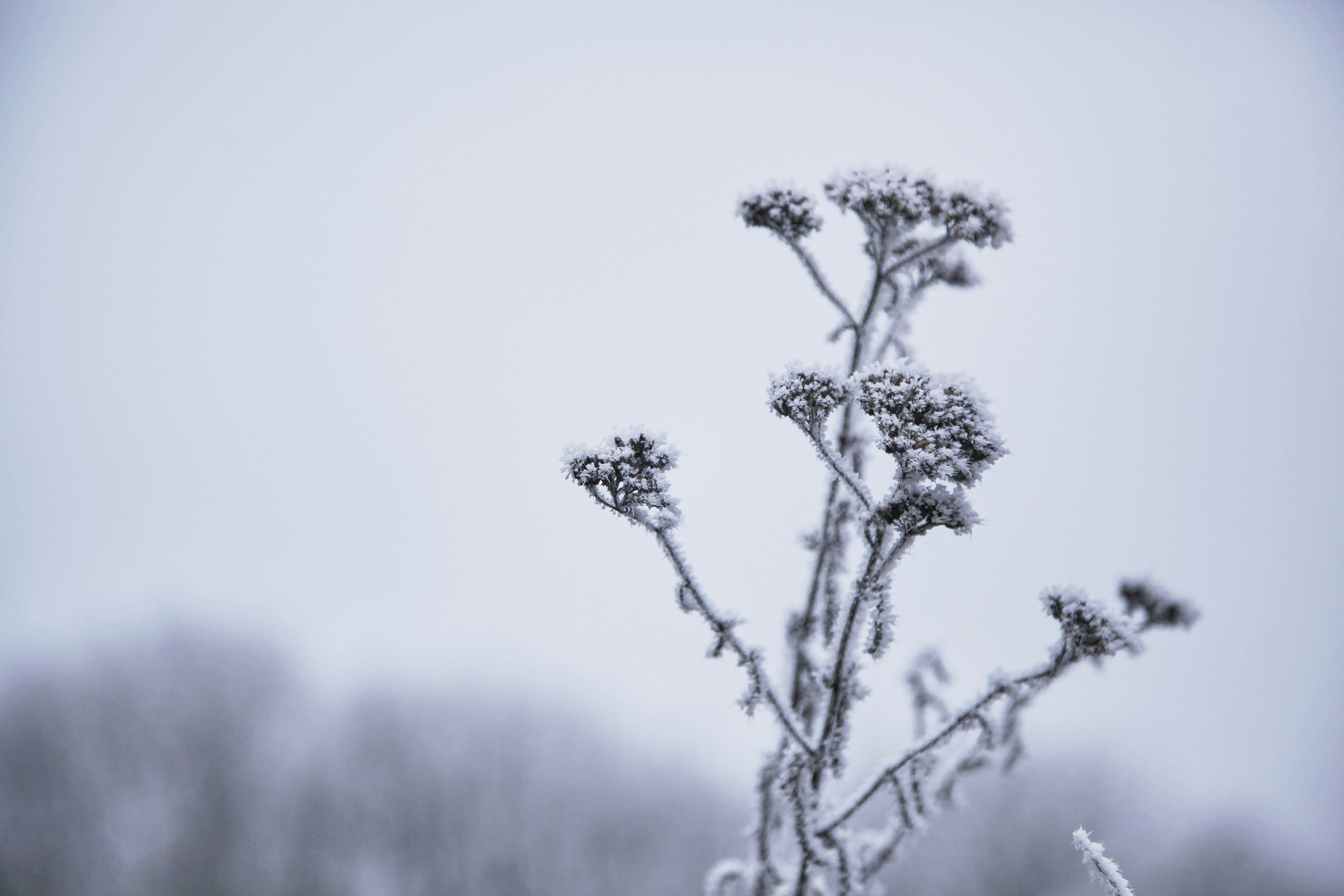 Photo by quadratmedia