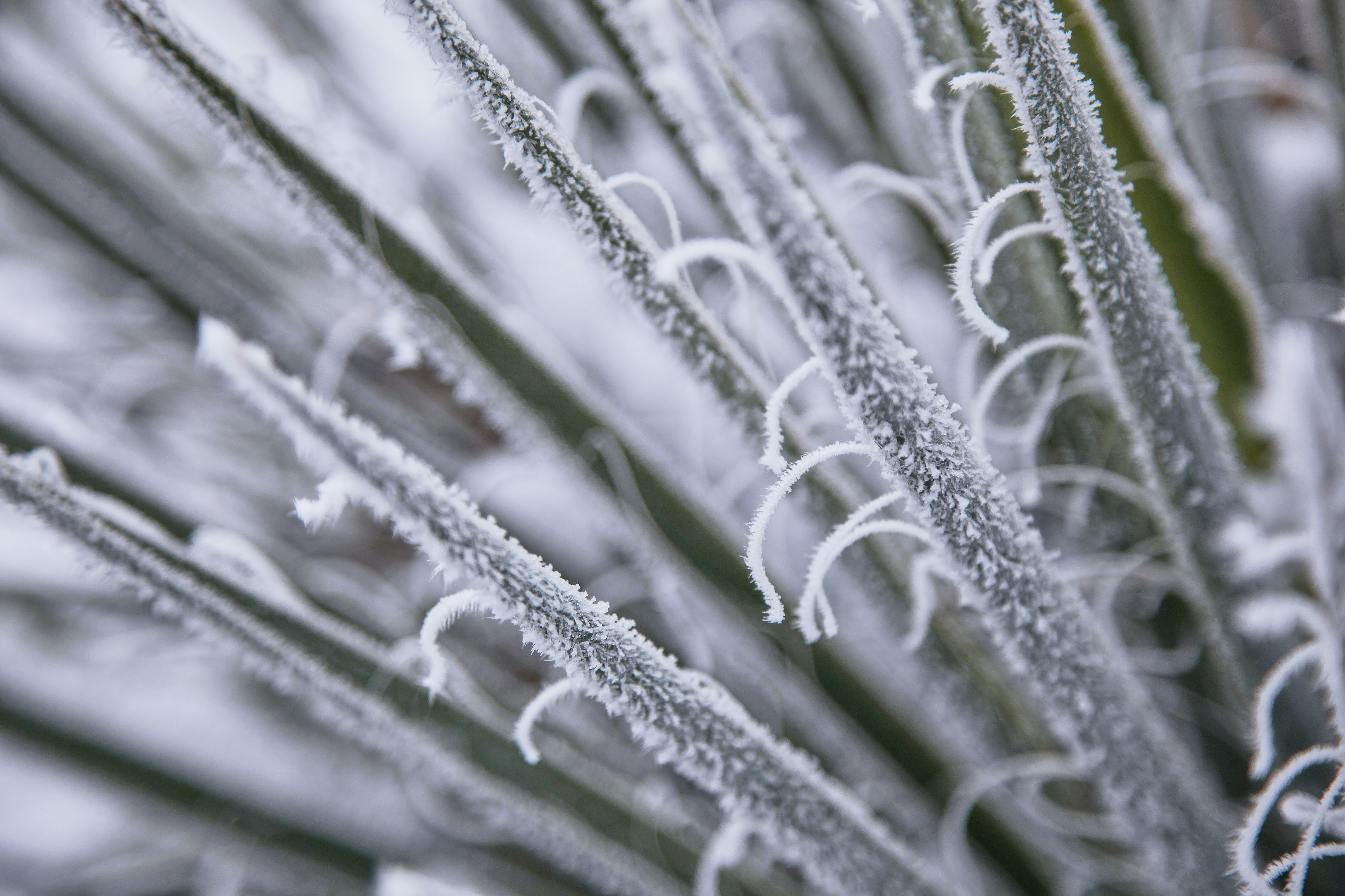 Photo by quadratmedia