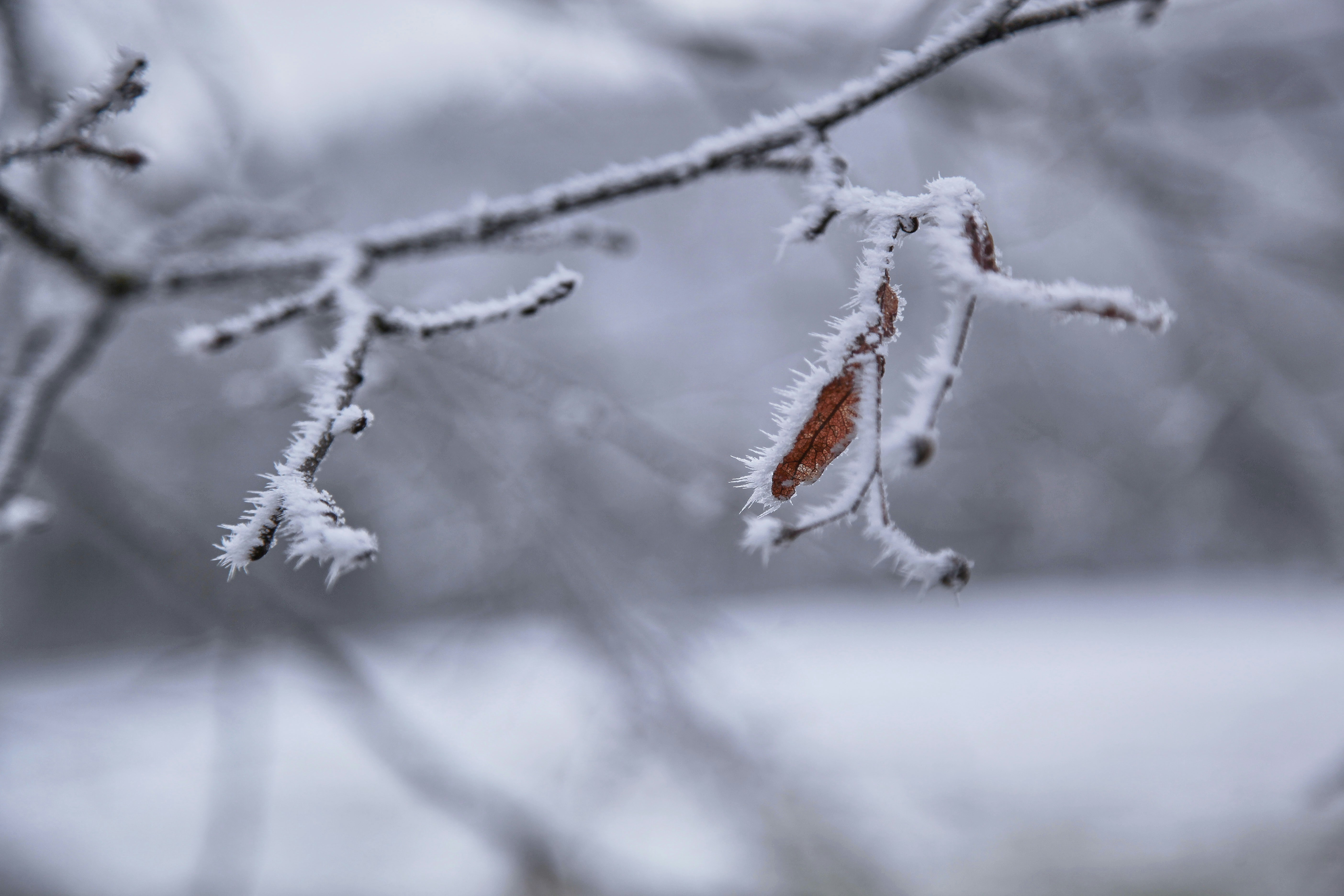 Photo by quadratmedia