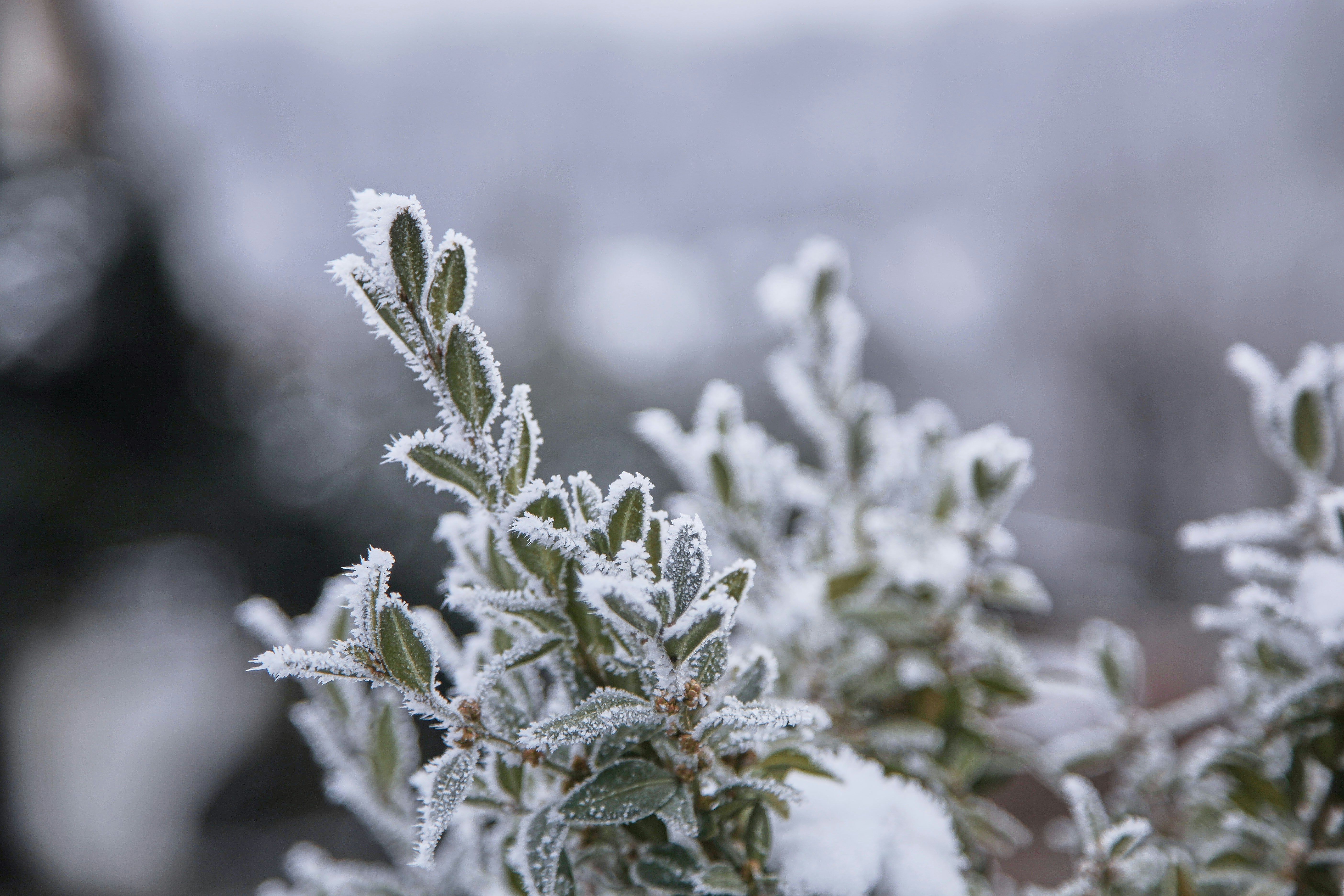 Photo by quadratmedia