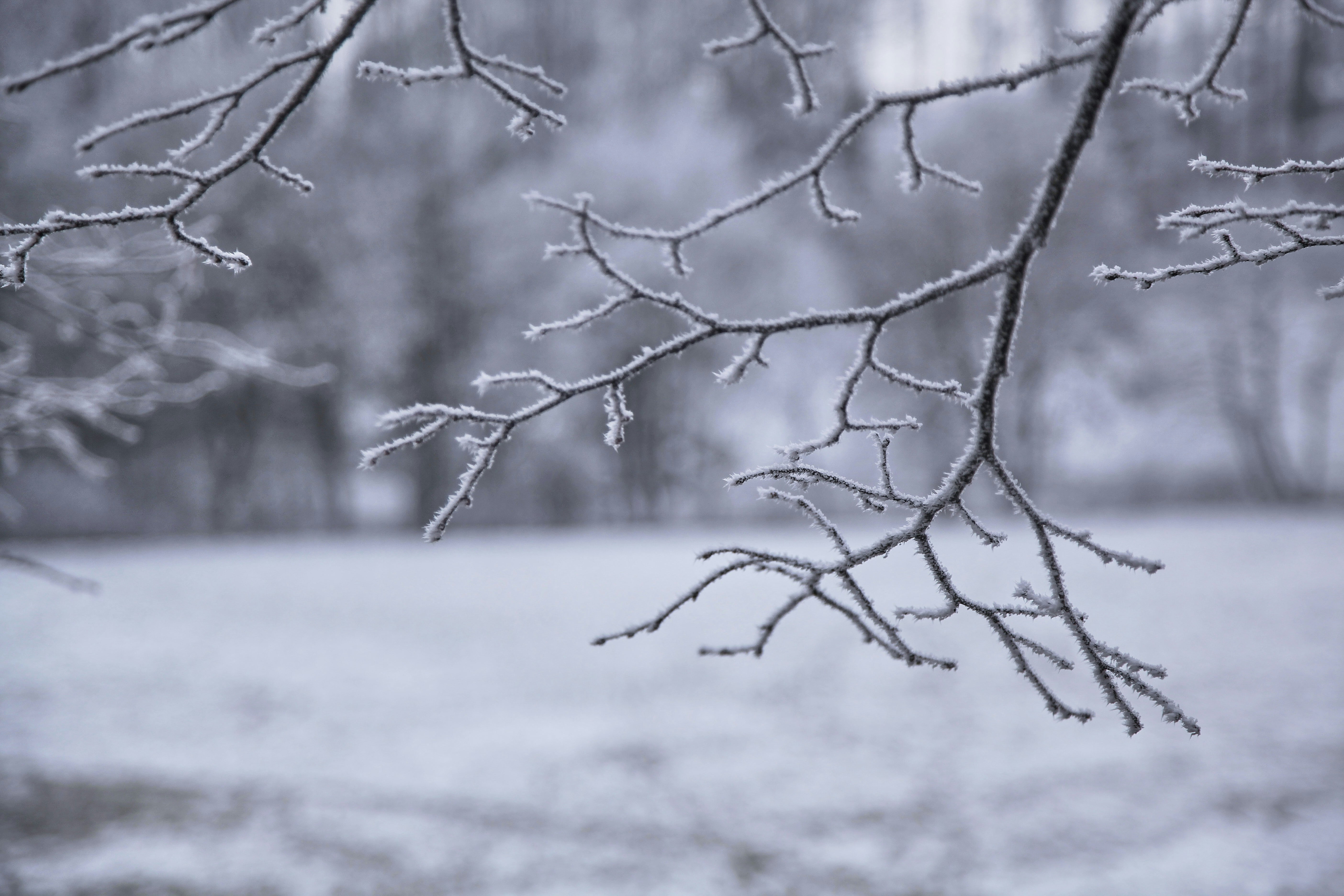 Photo by quadratmedia