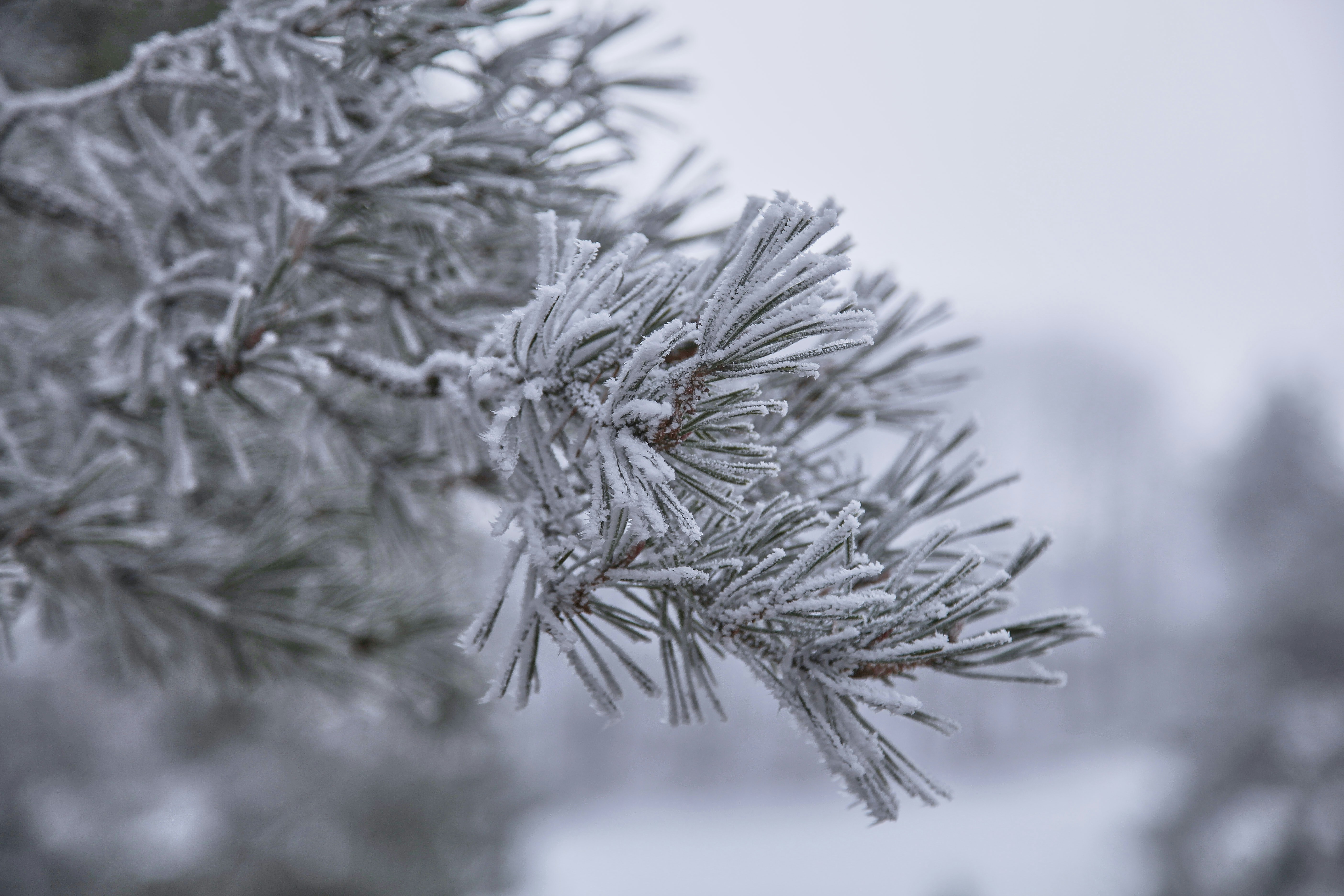 Photo by quadratmedia