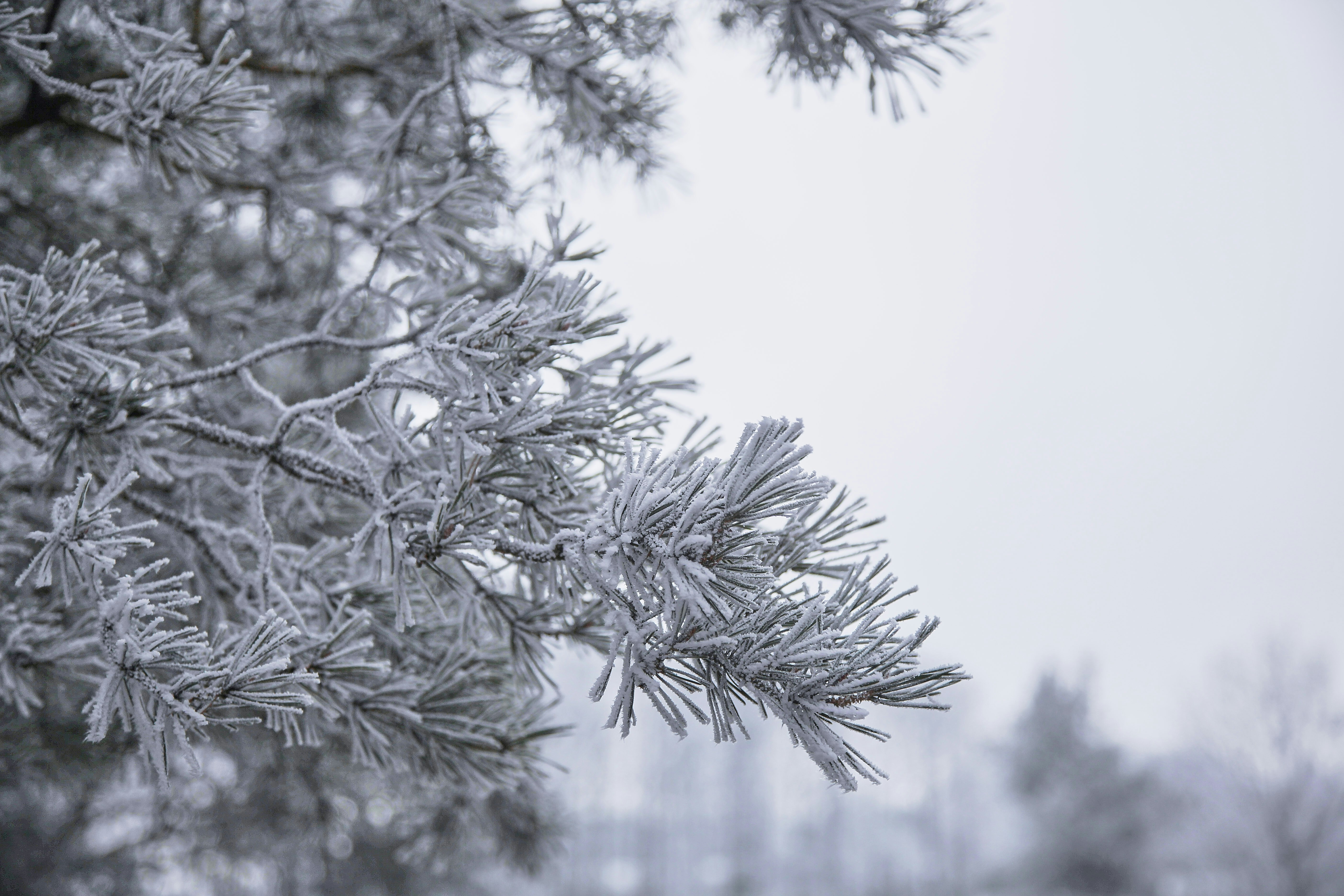 Photo by quadratmedia