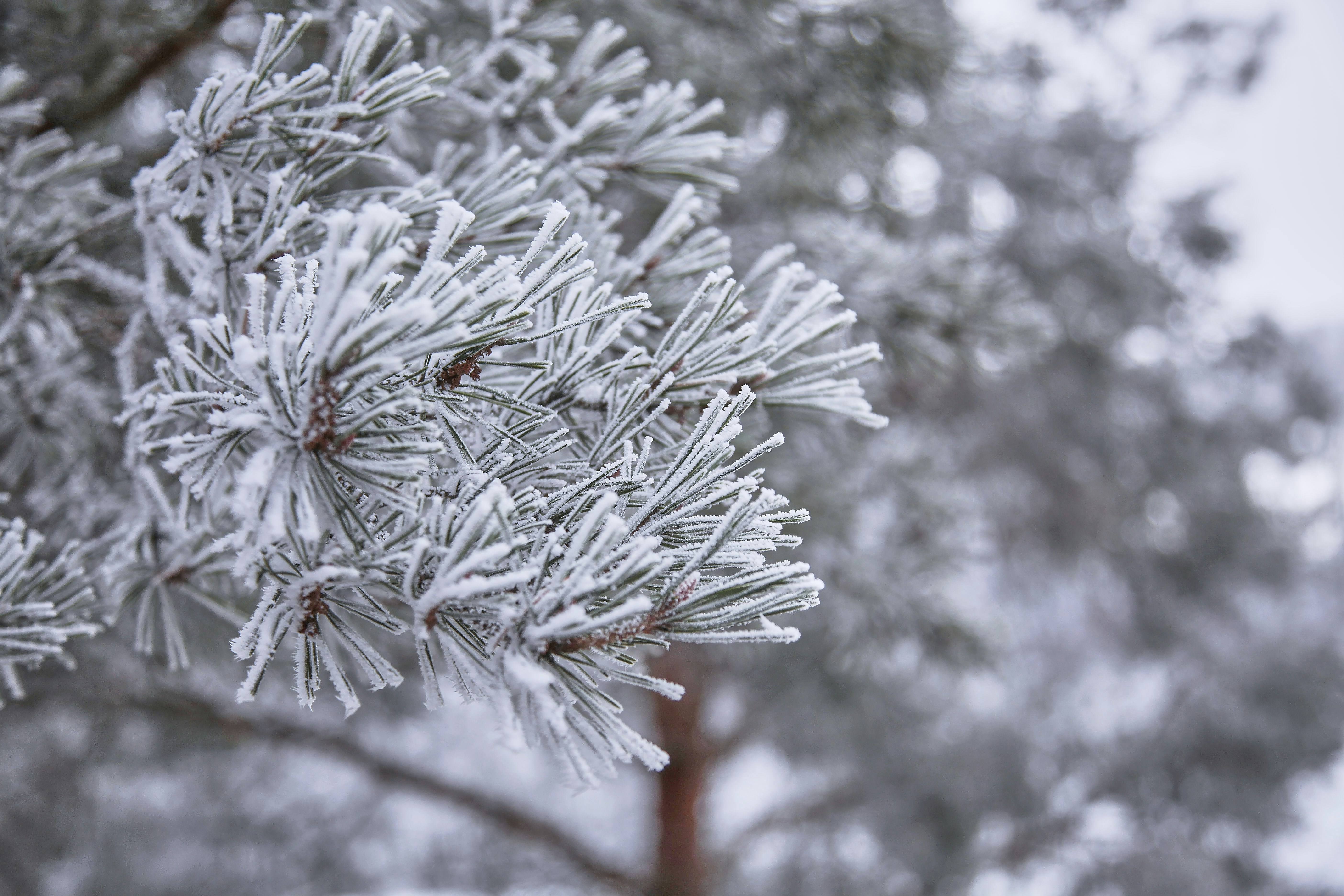 Photo by quadratmedia