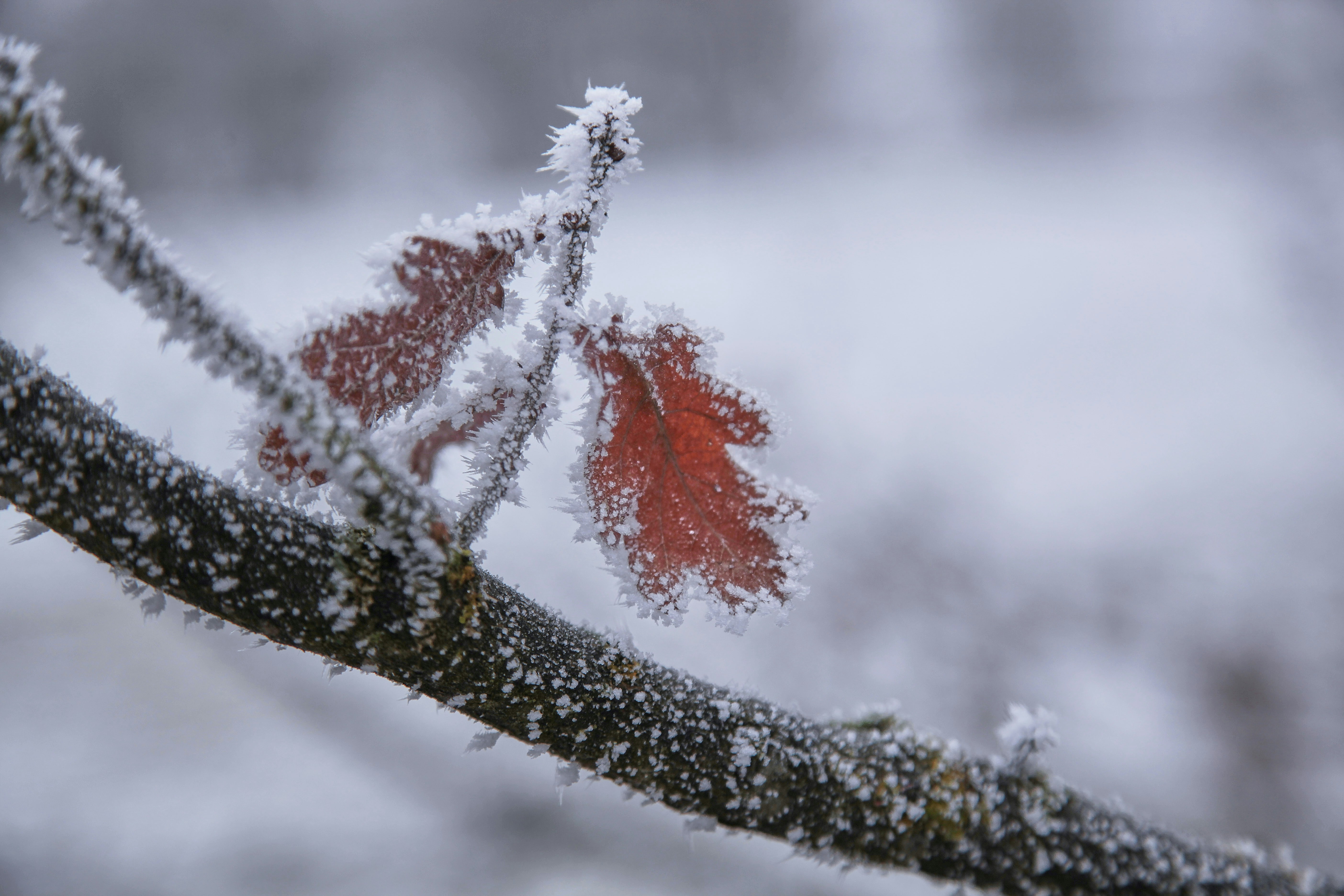 Photo by quadratmedia