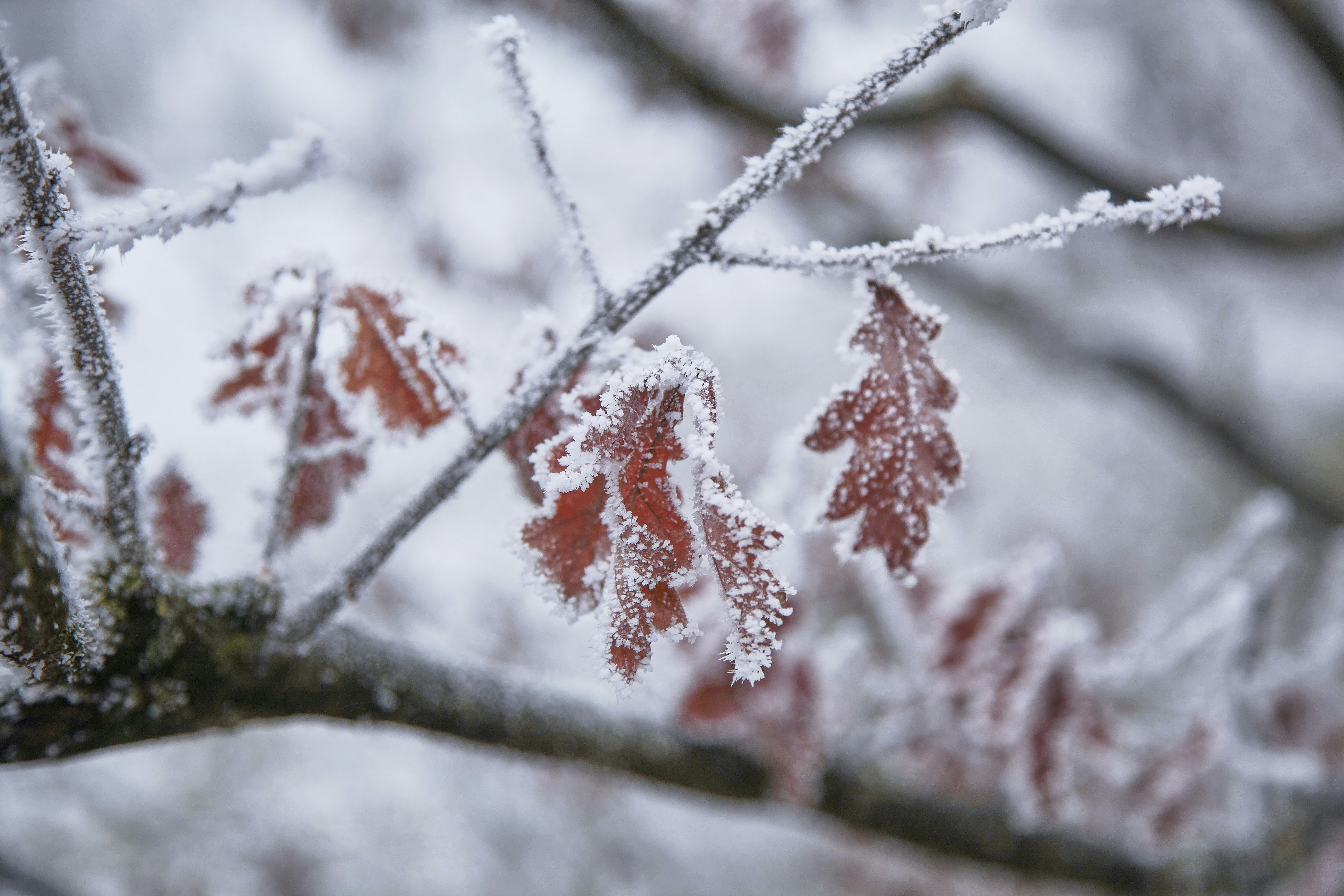 Photo by quadratmedia