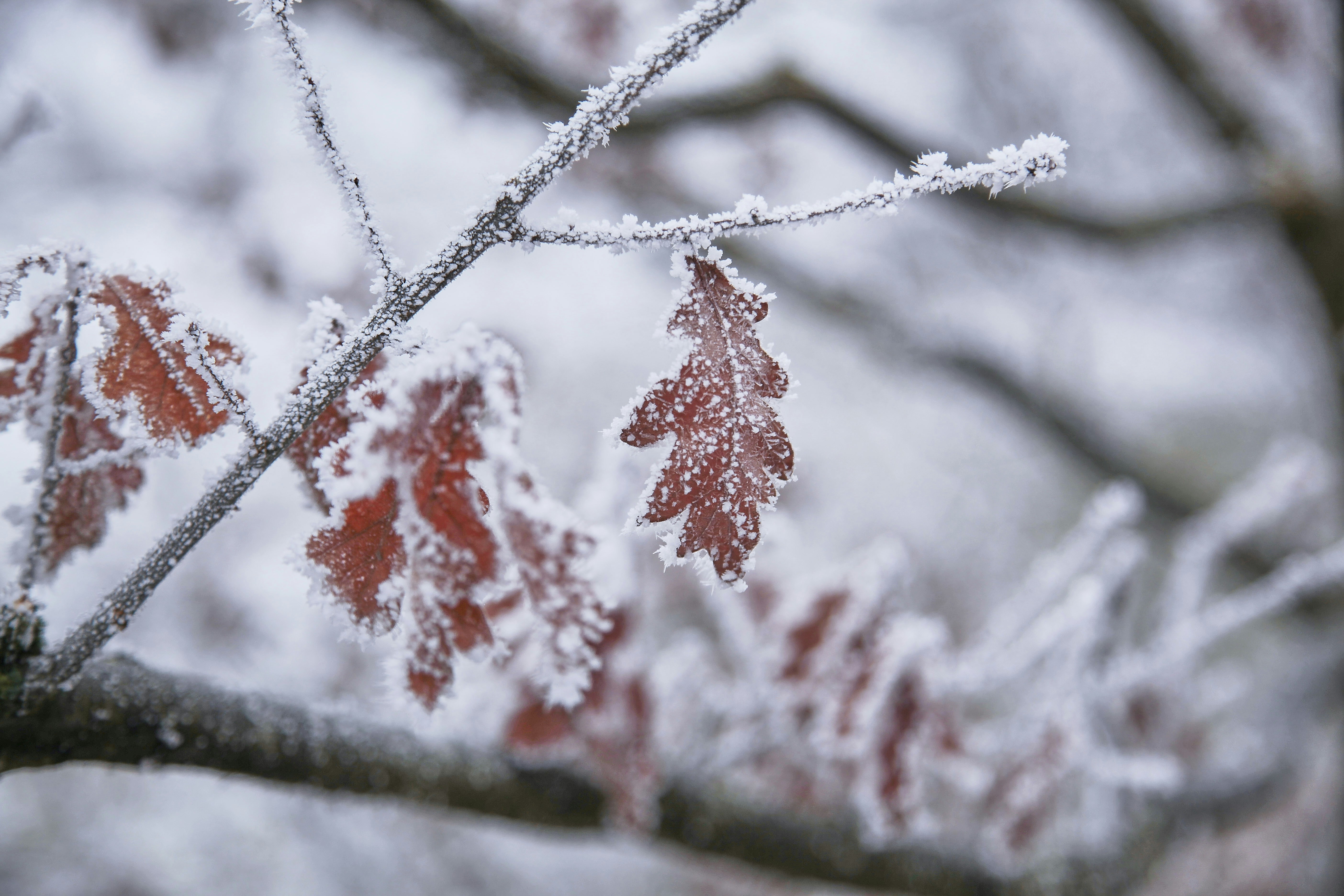 Photo by quadratmedia