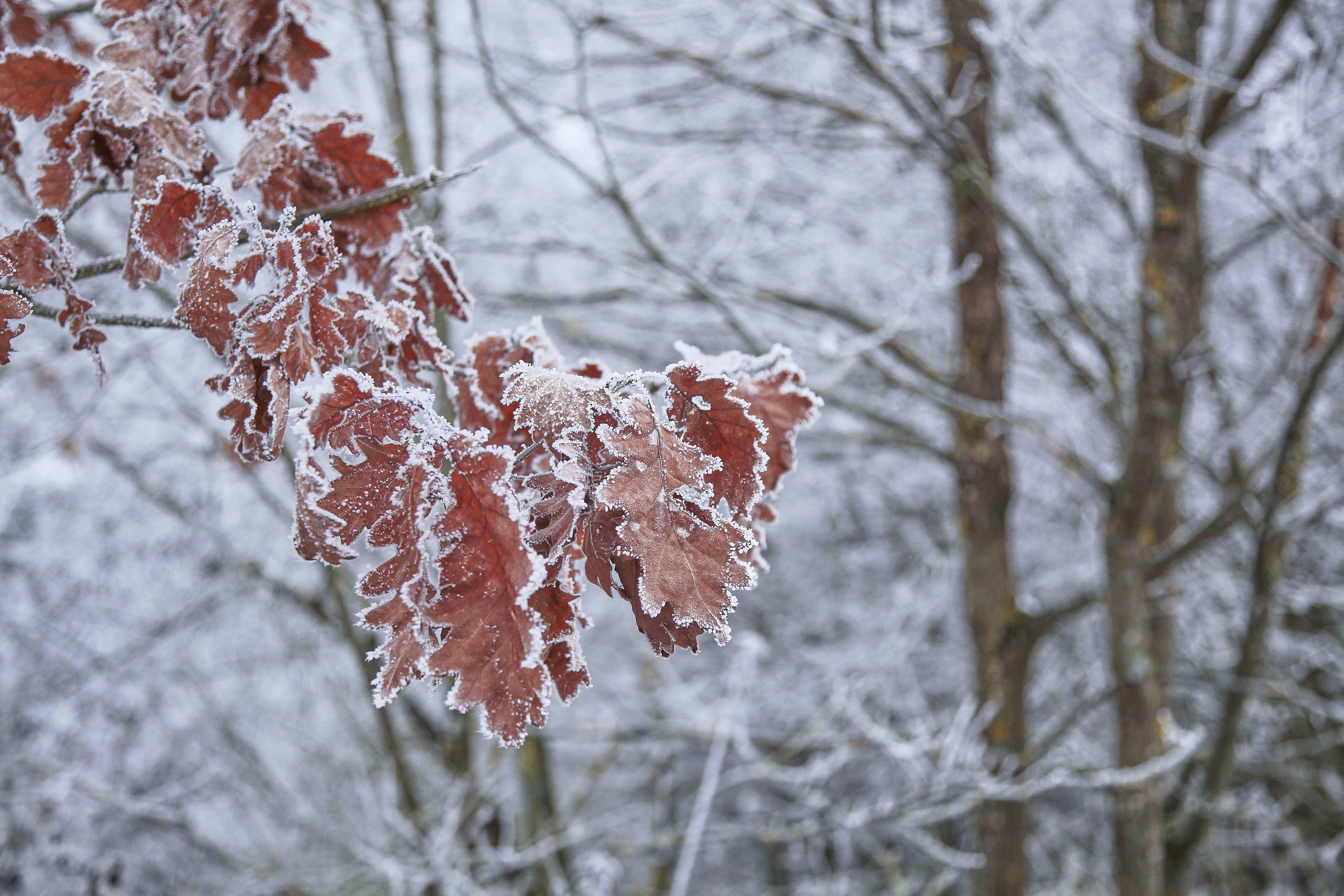 Photo by quadratmedia