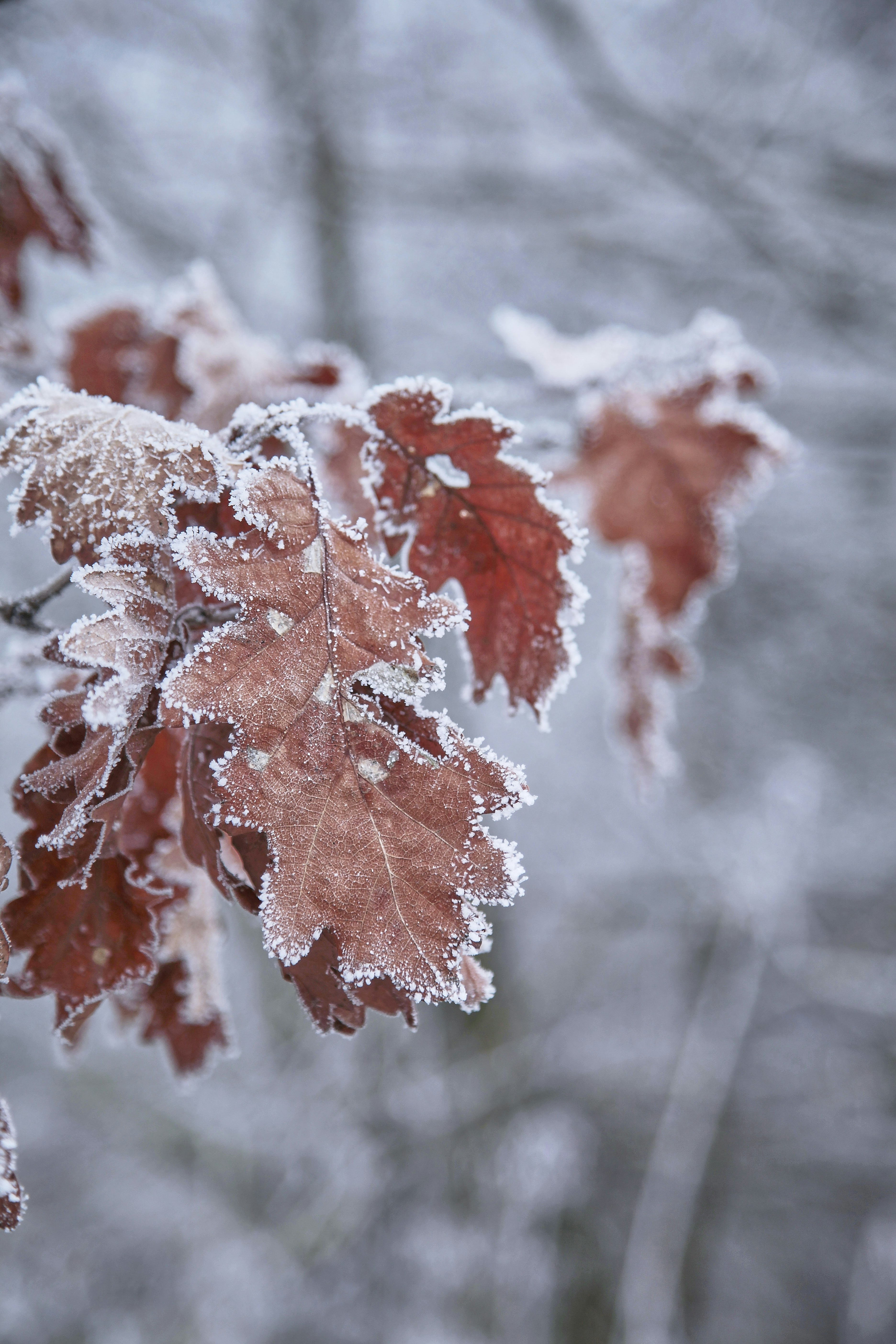 Photo by quadratmedia