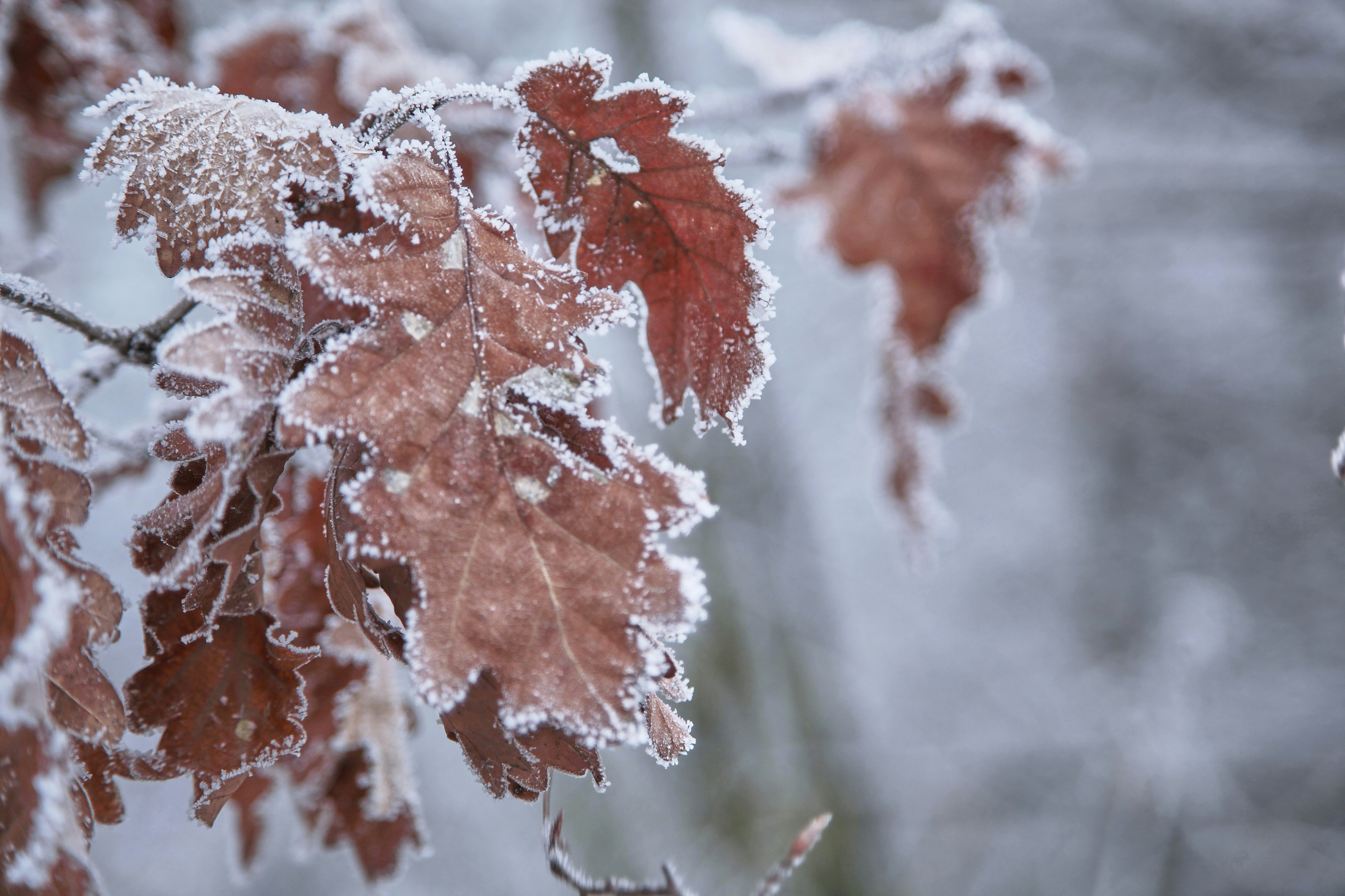 Photo by quadratmedia