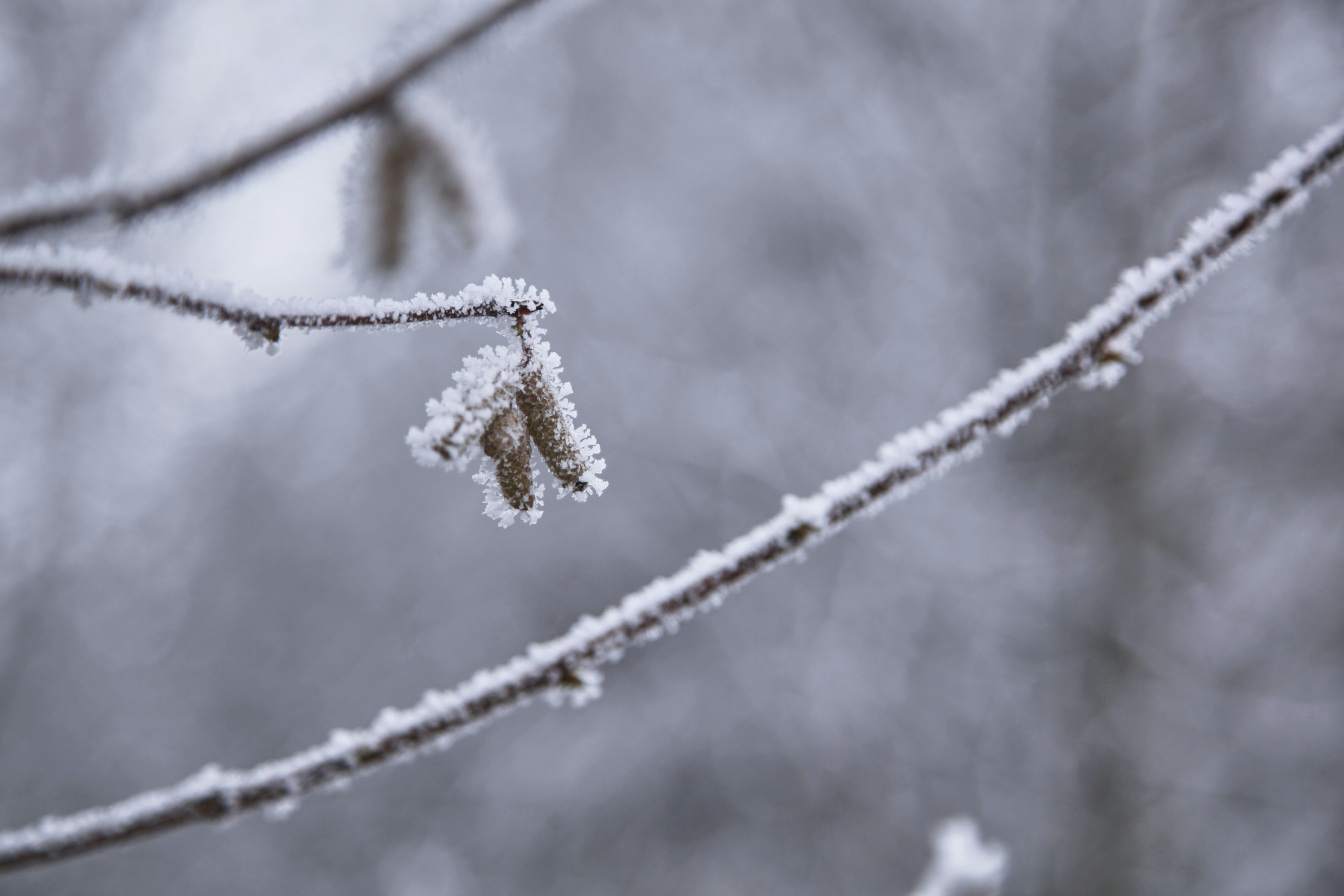 Photo by quadratmedia