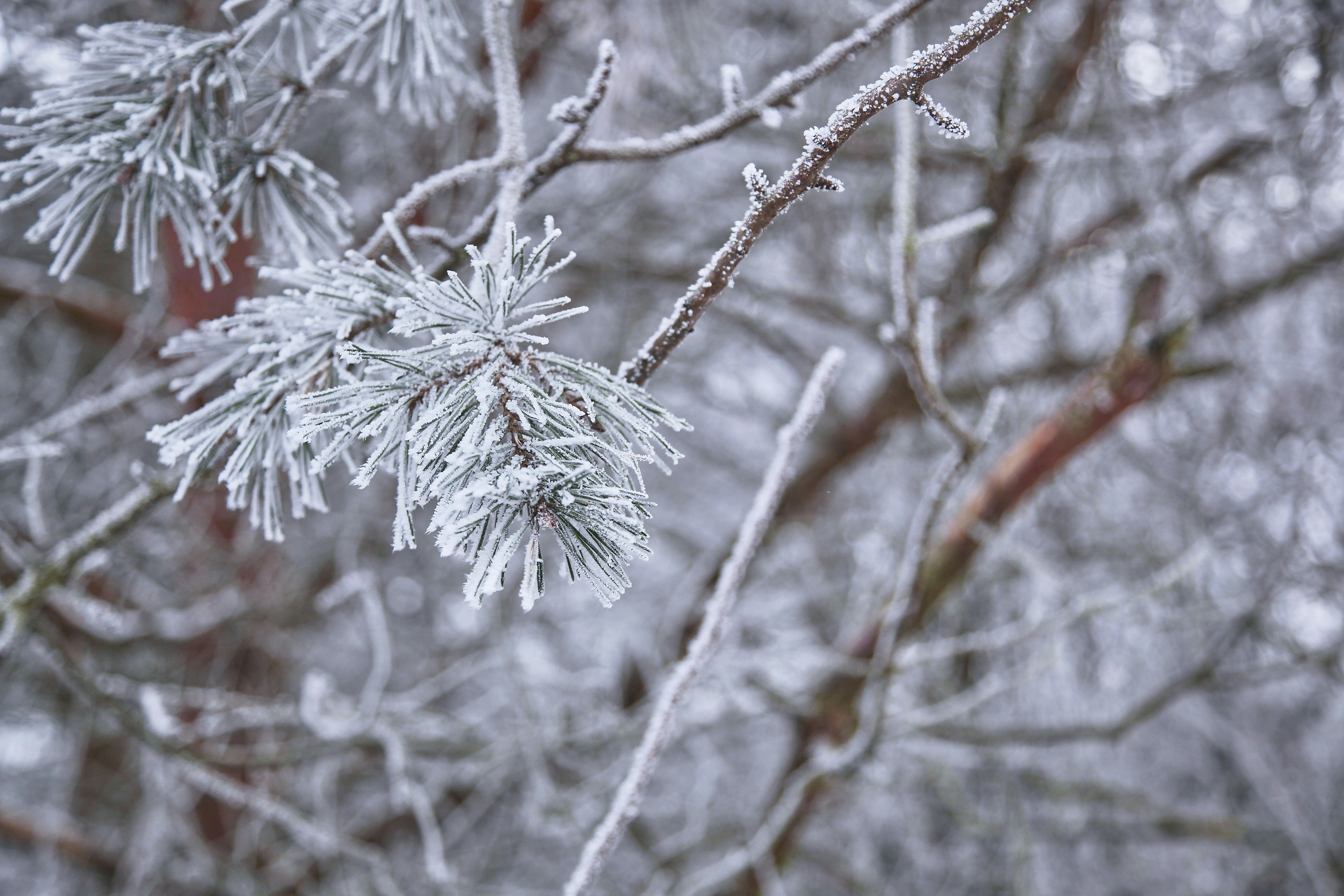 Photo by quadratmedia