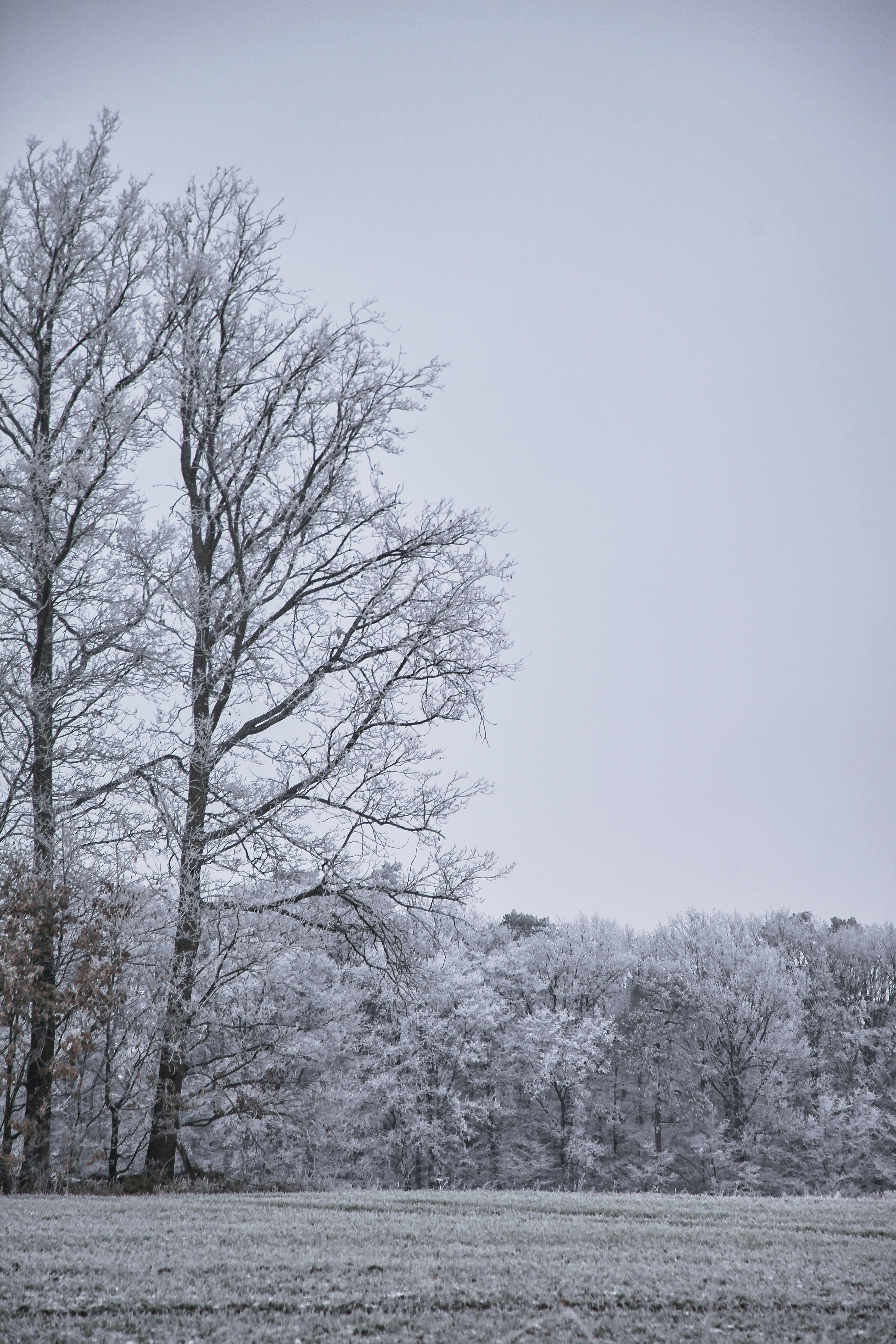 Photo by quadratmedia