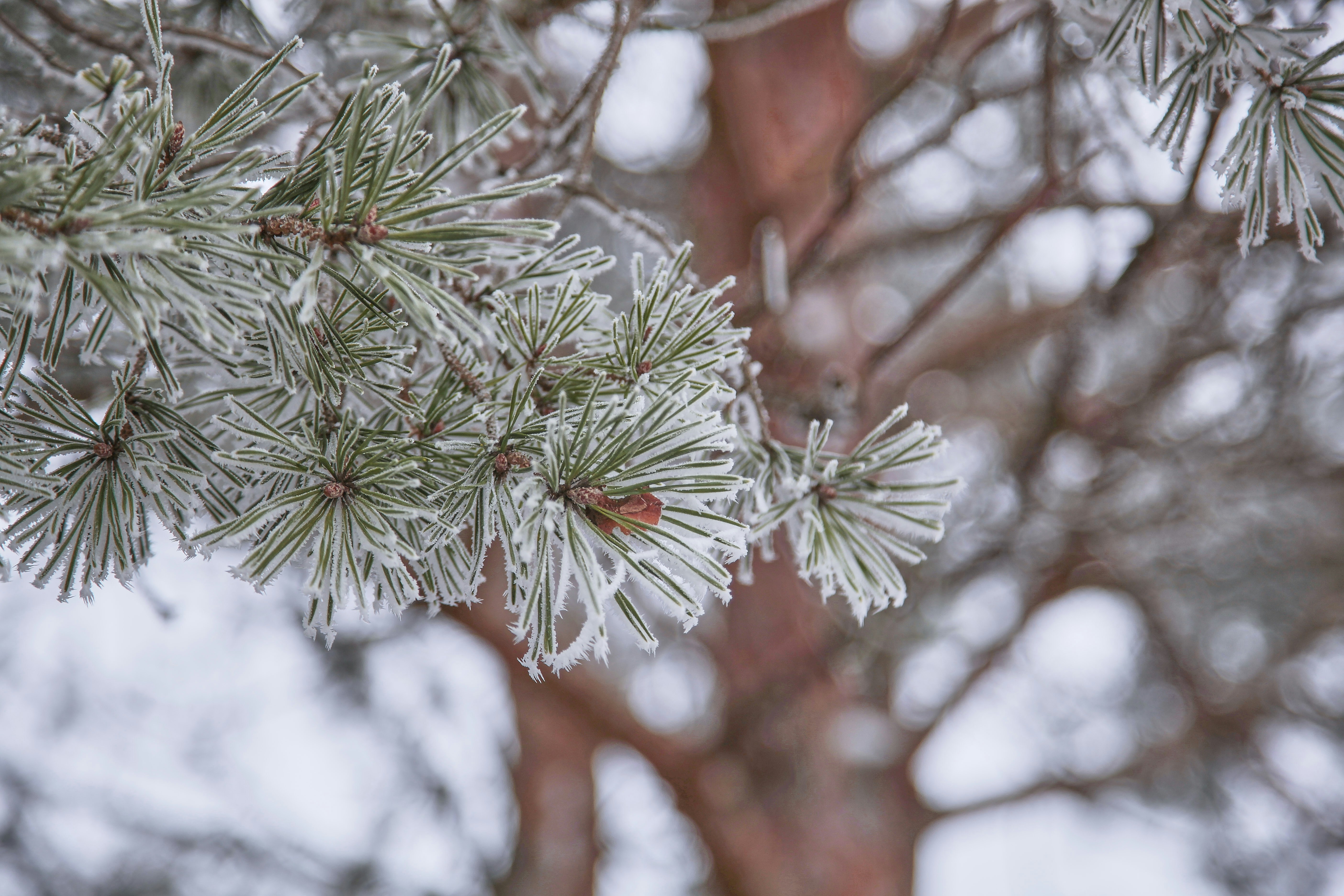 Photo by quadratmedia