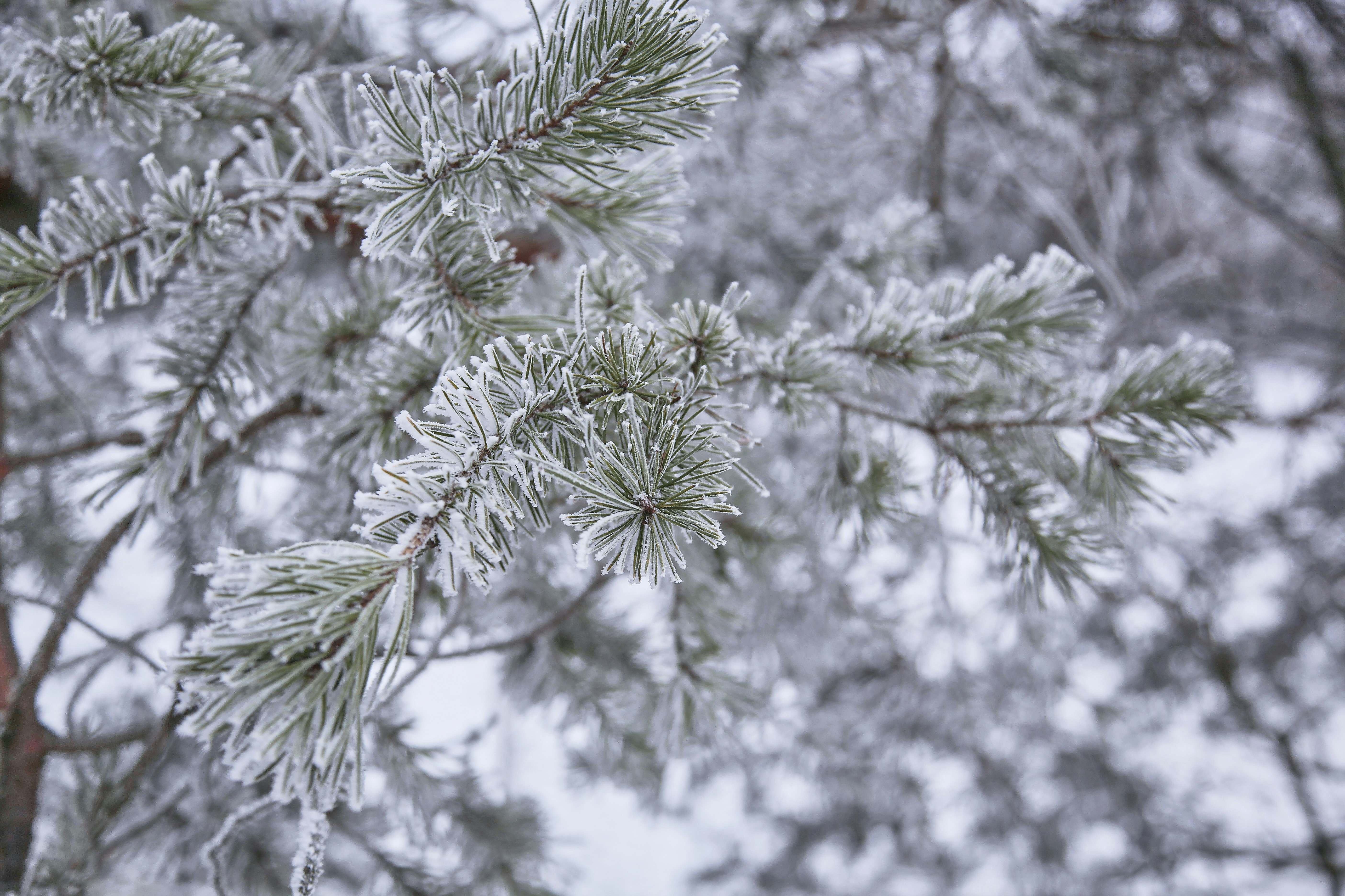 Photo by quadratmedia