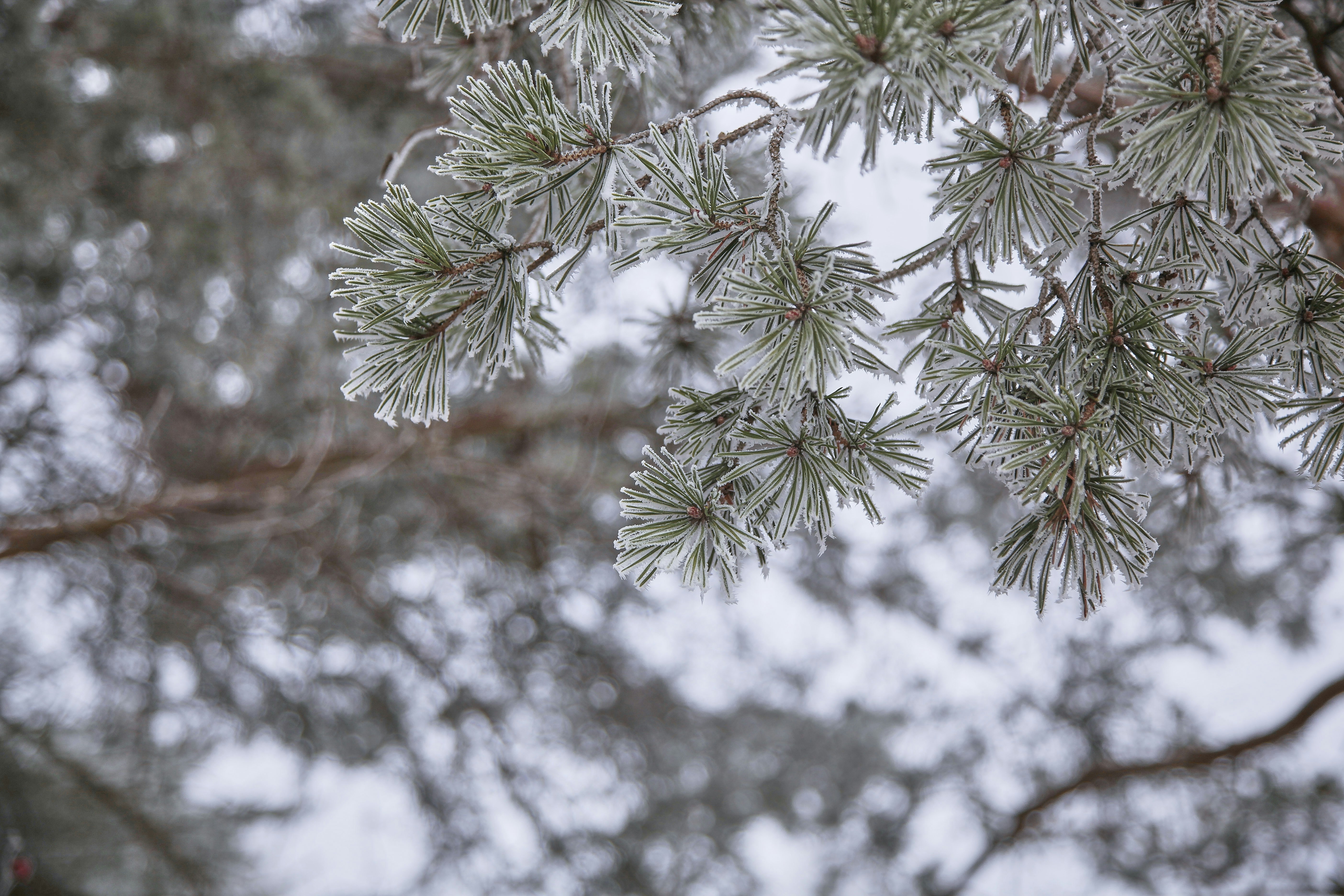 Photo by quadratmedia