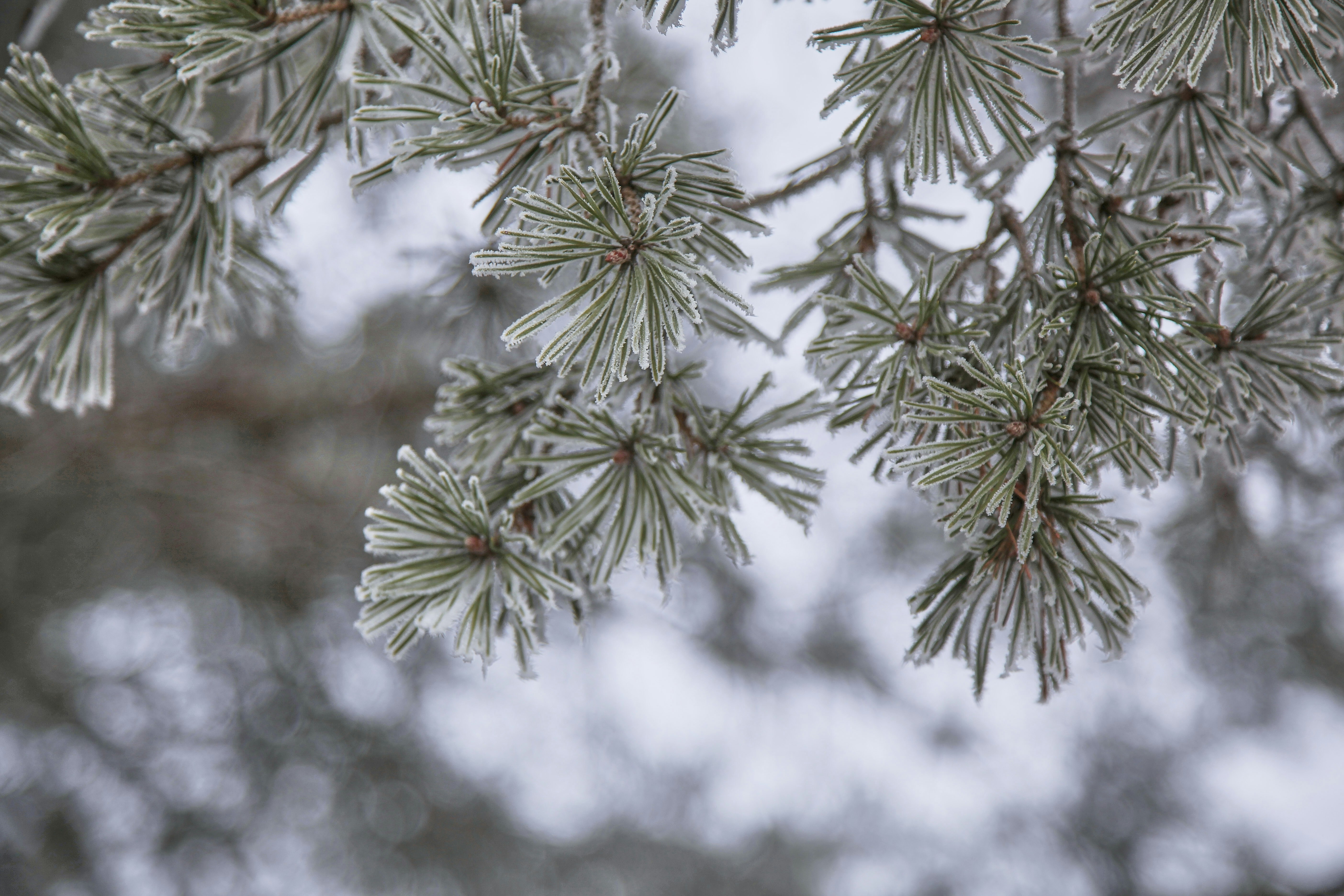 Photo by quadratmedia