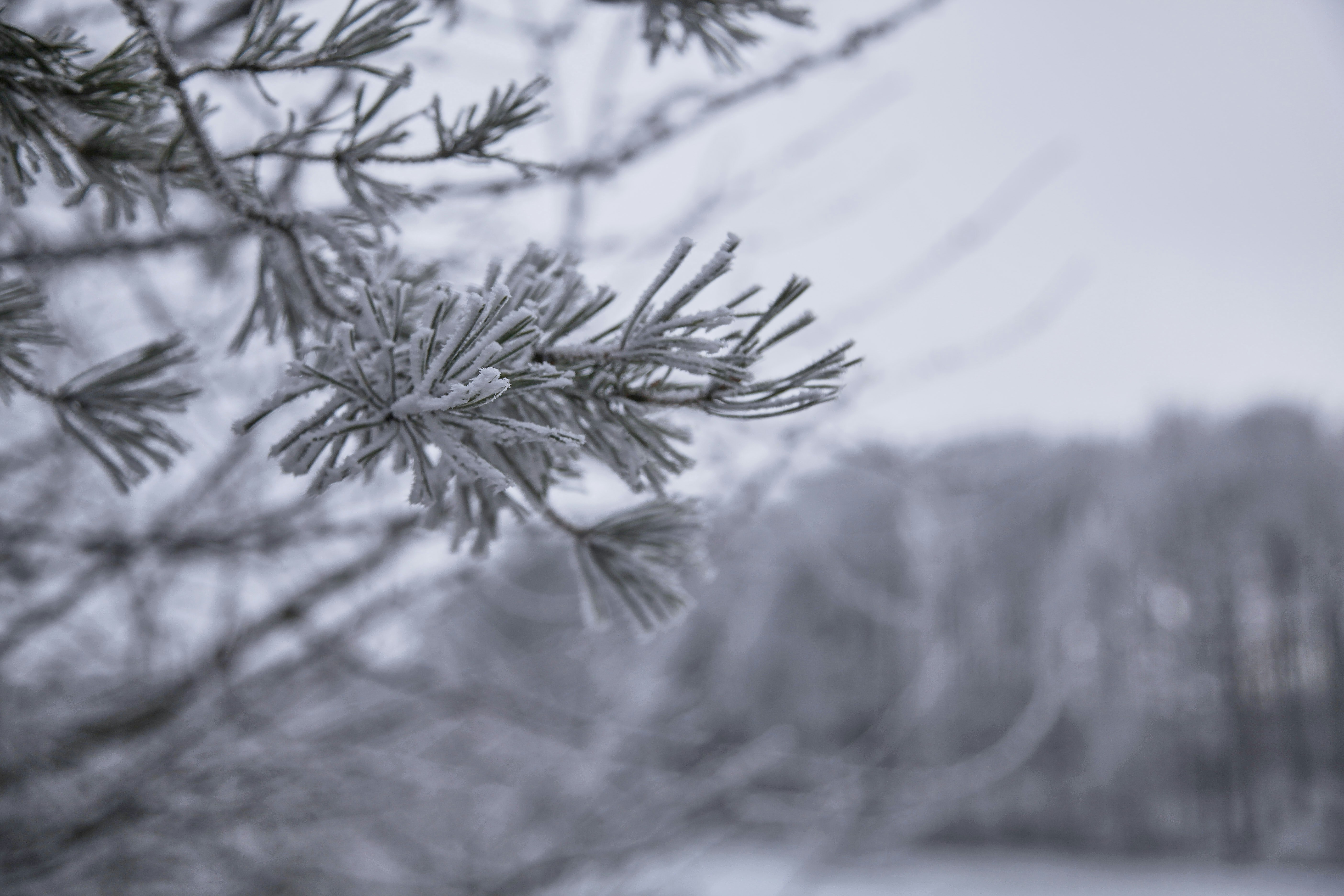 Photo by quadratmedia