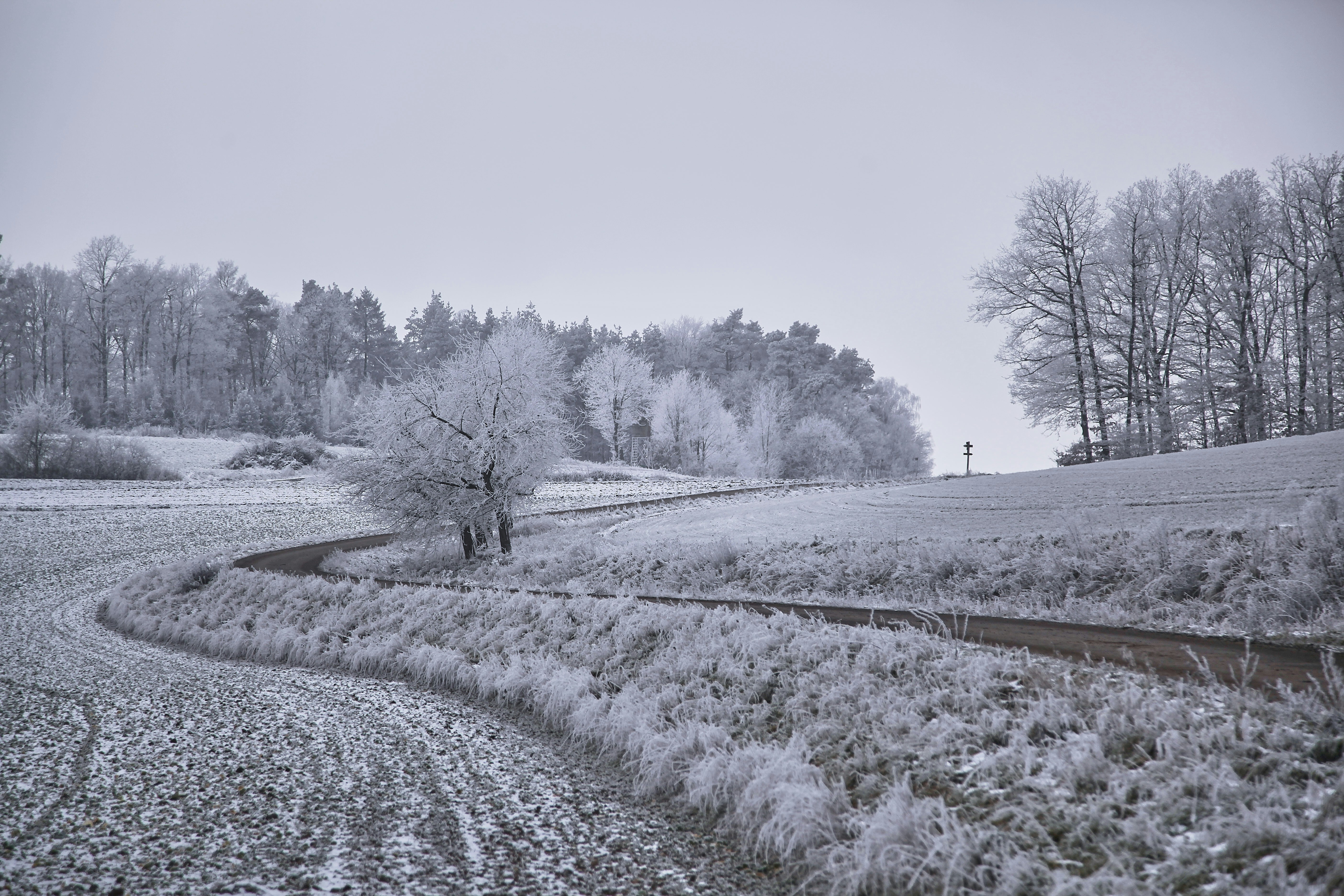 Photo by quadratmedia