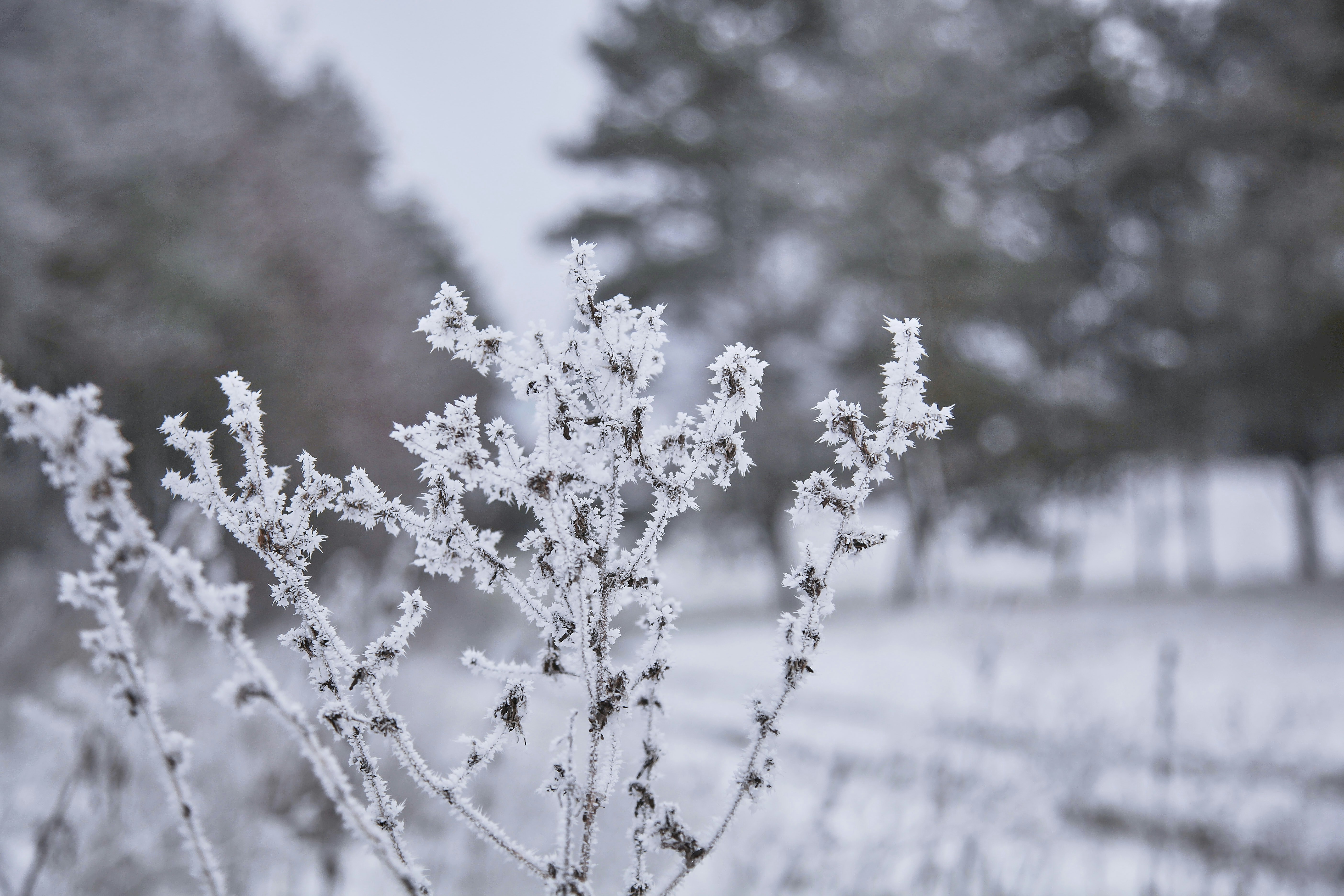 Photo by quadratmedia