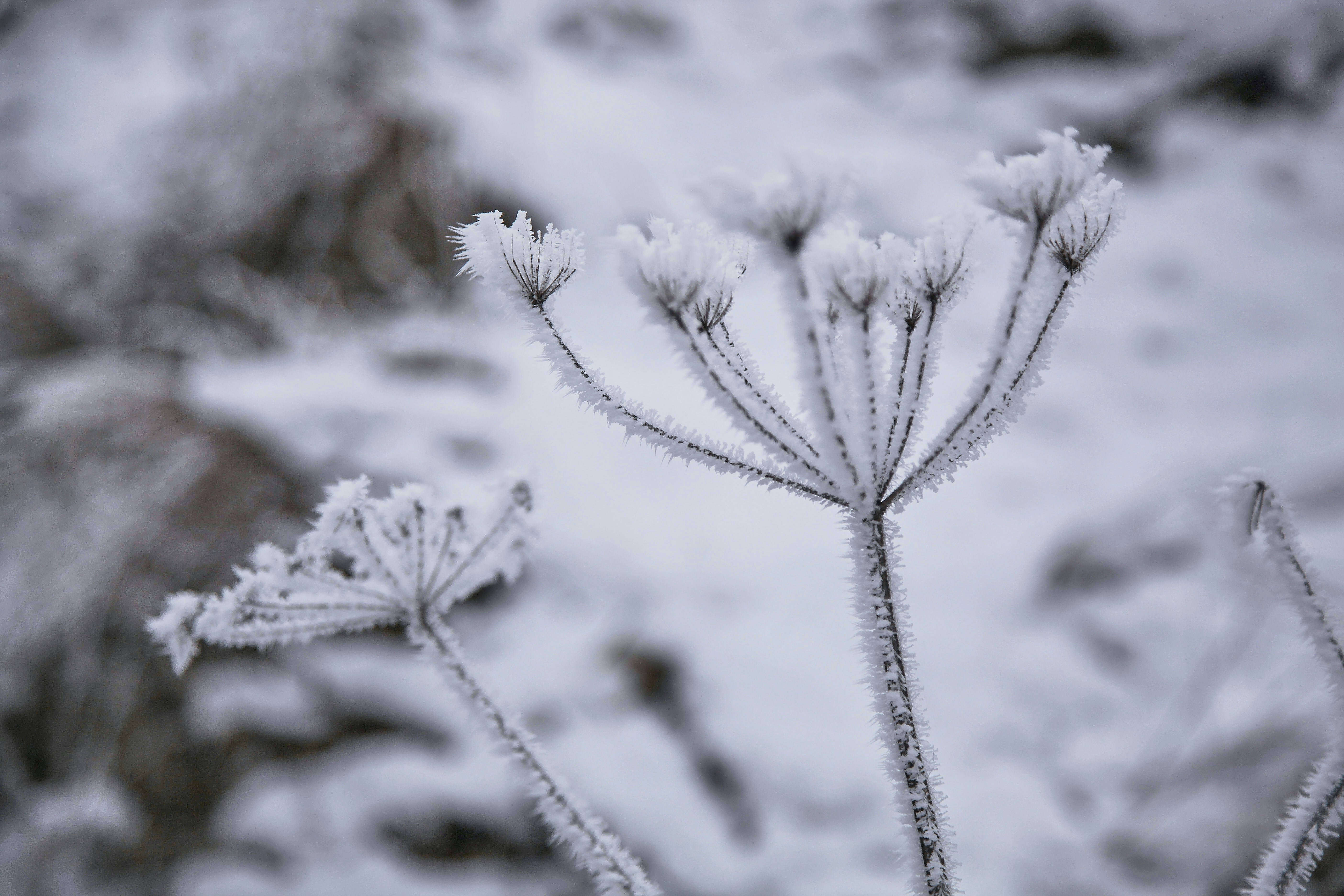 Photo by quadratmedia