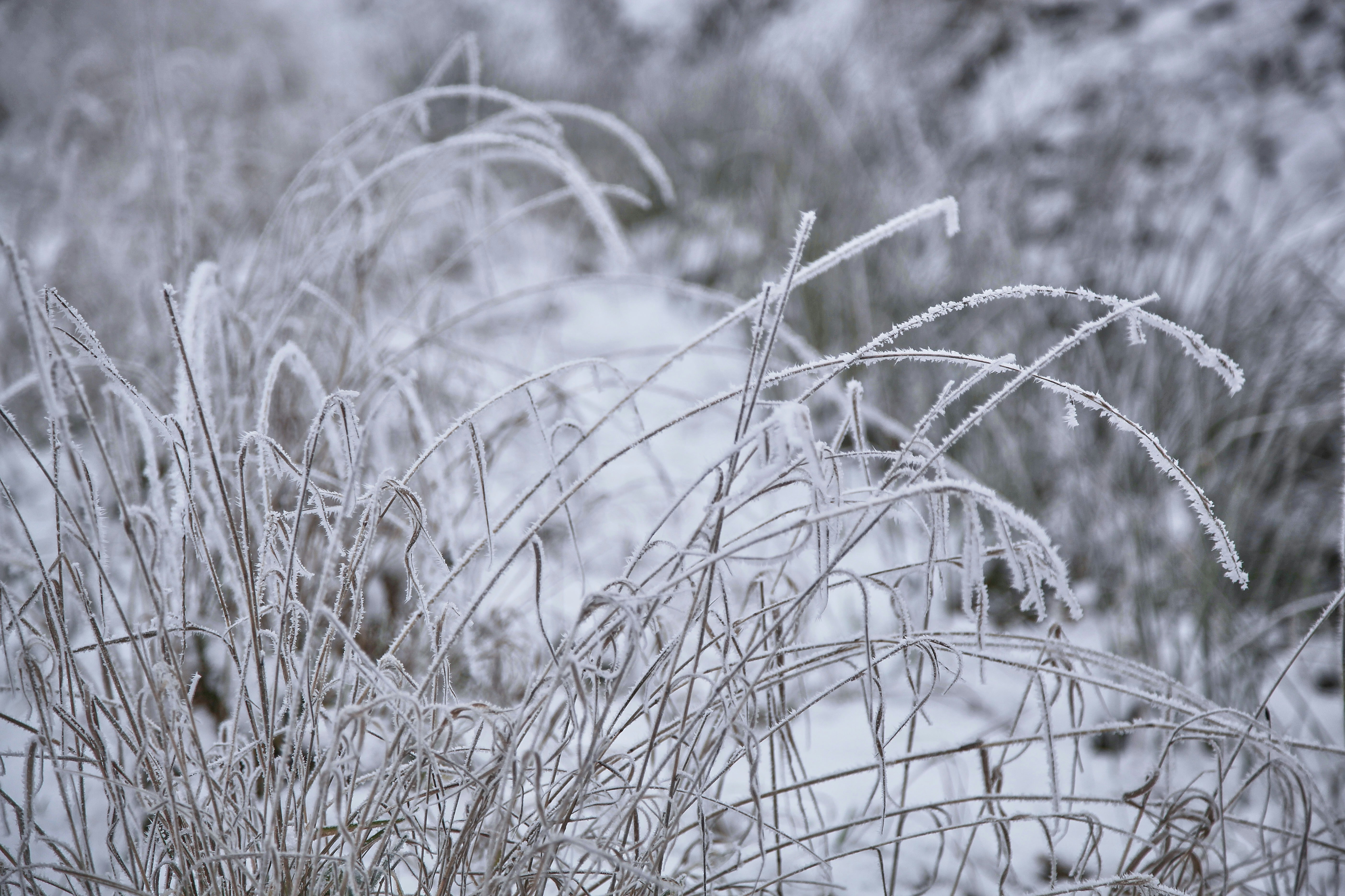 Photo by quadratmedia