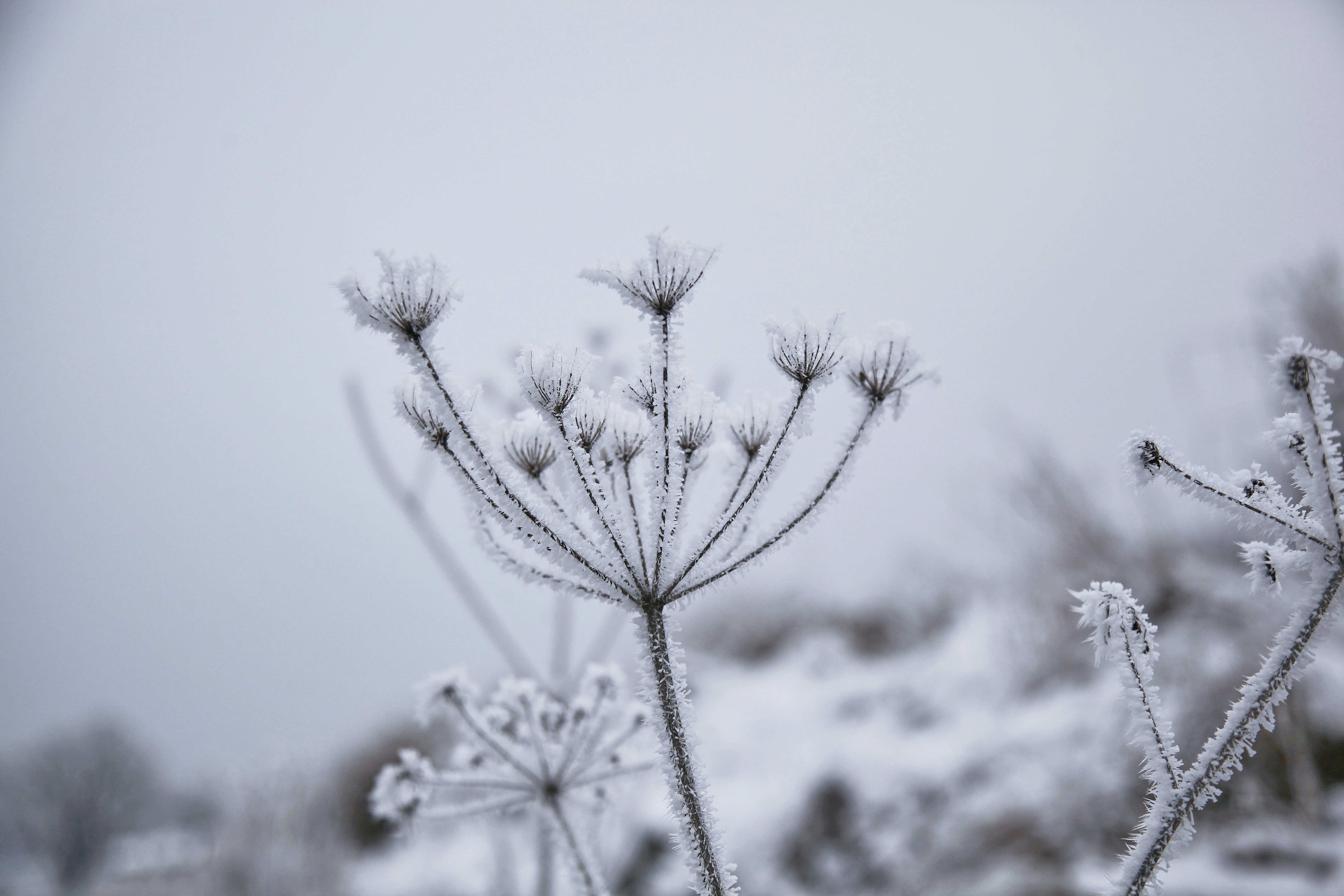 Photo by quadratmedia