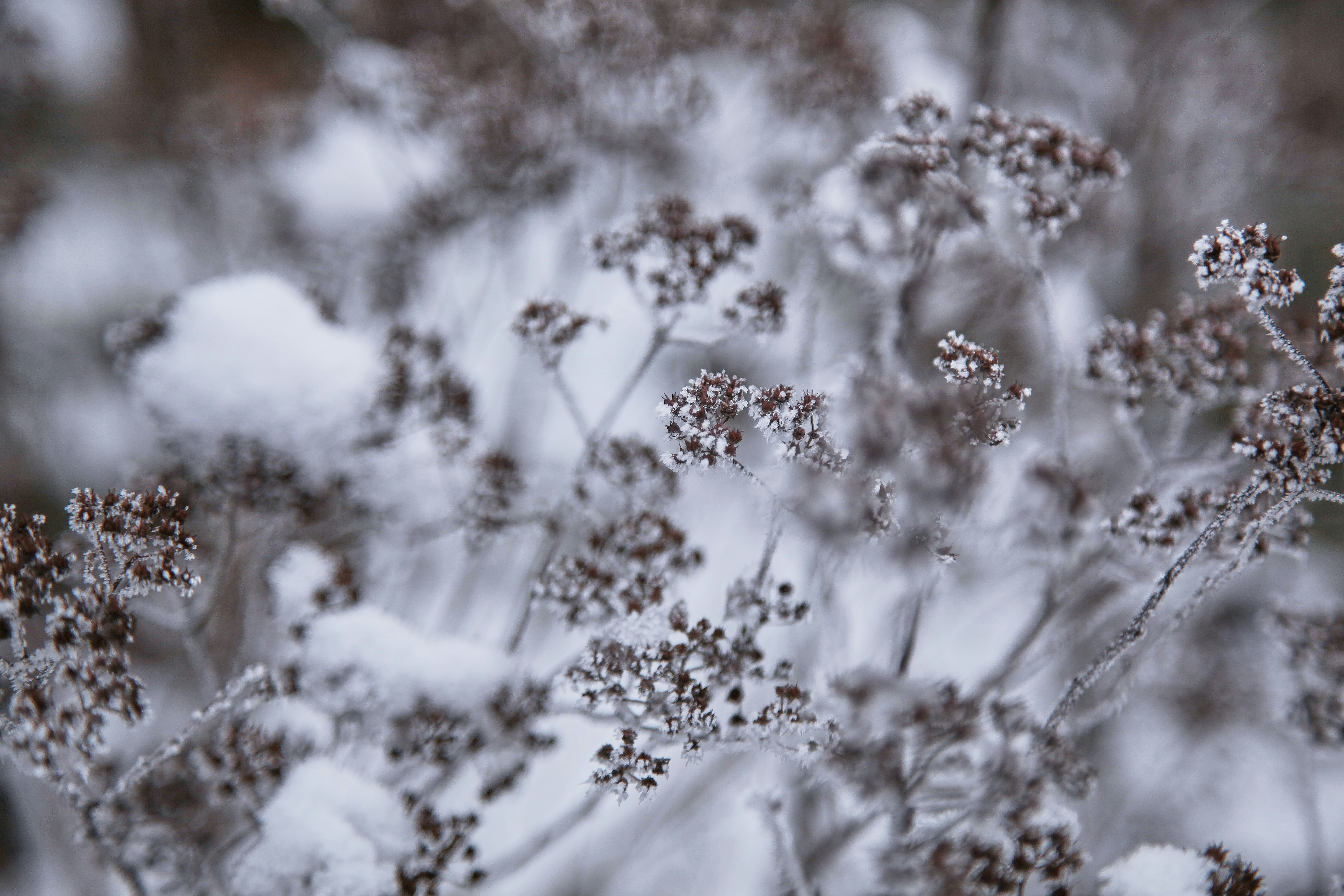 Photo by quadratmedia