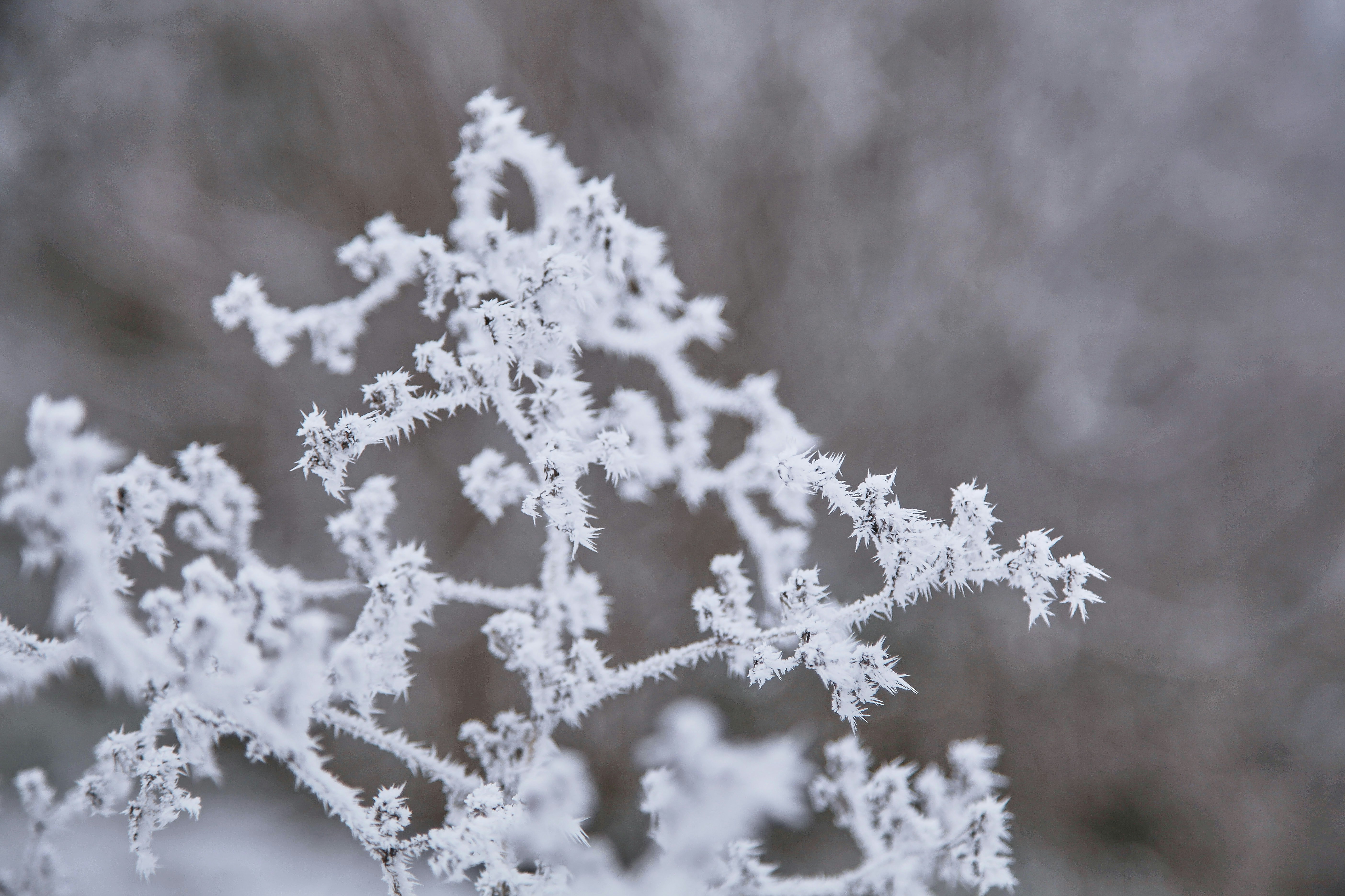 Photo by quadratmedia