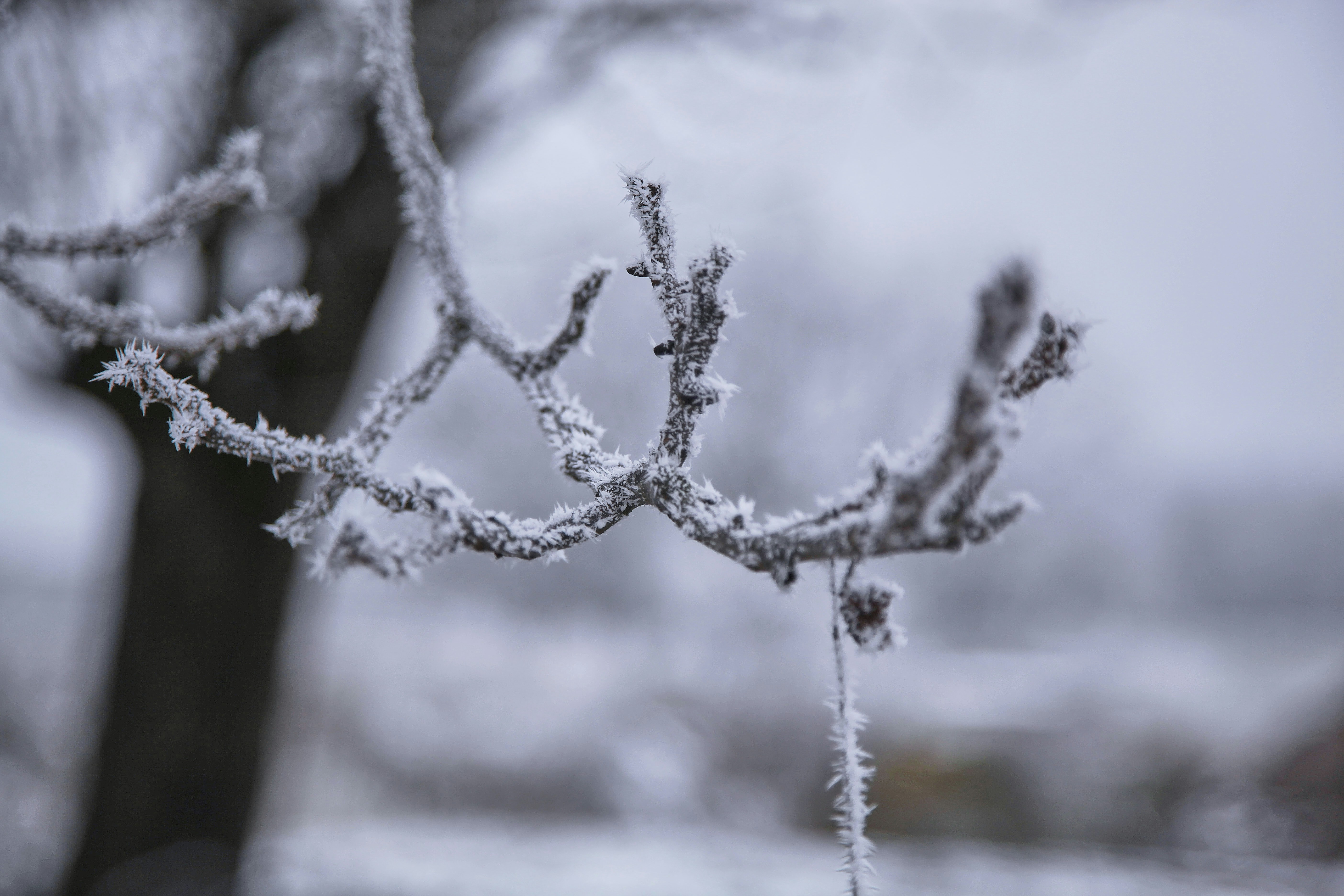 Photo by quadratmedia