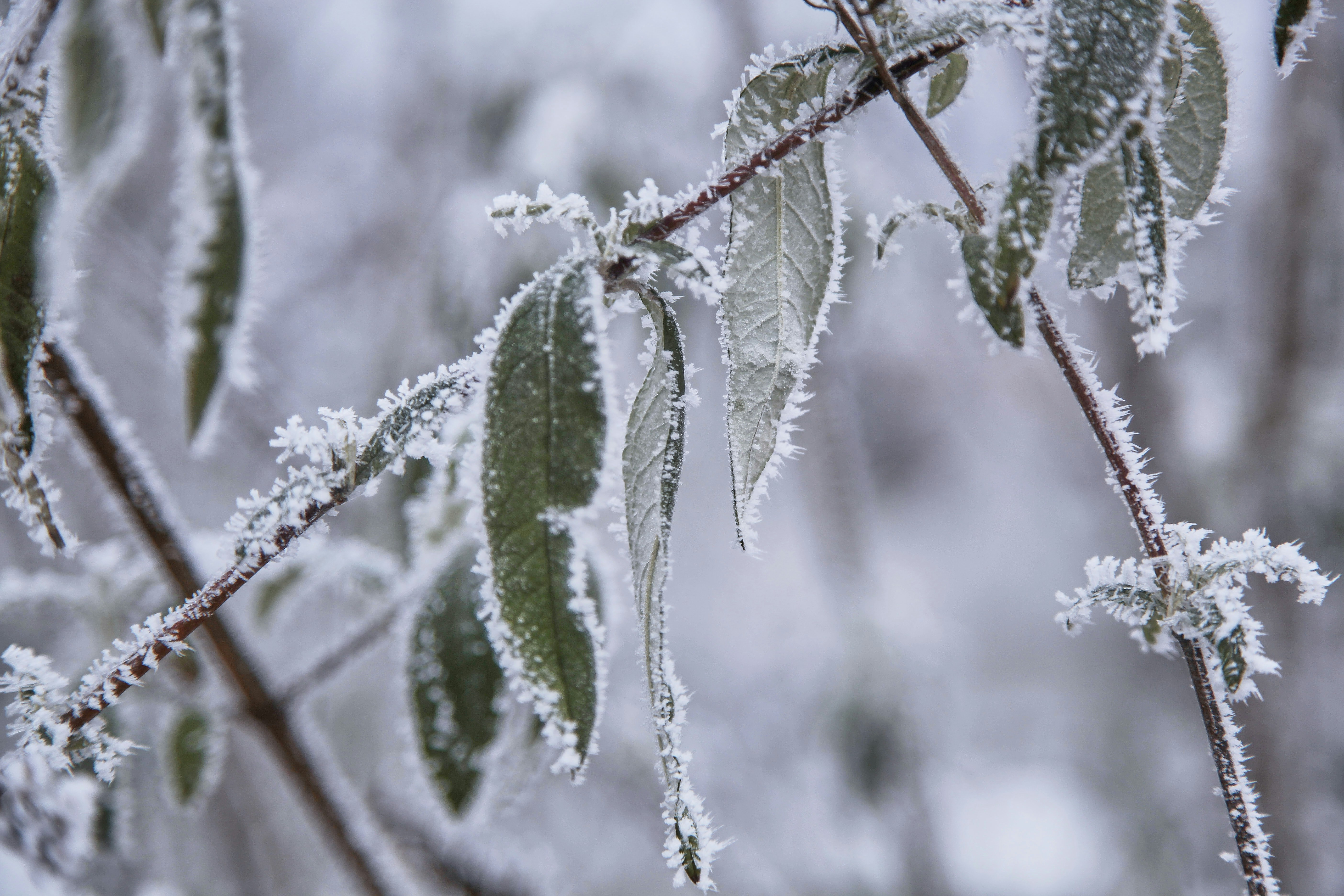 Photo by quadratmedia