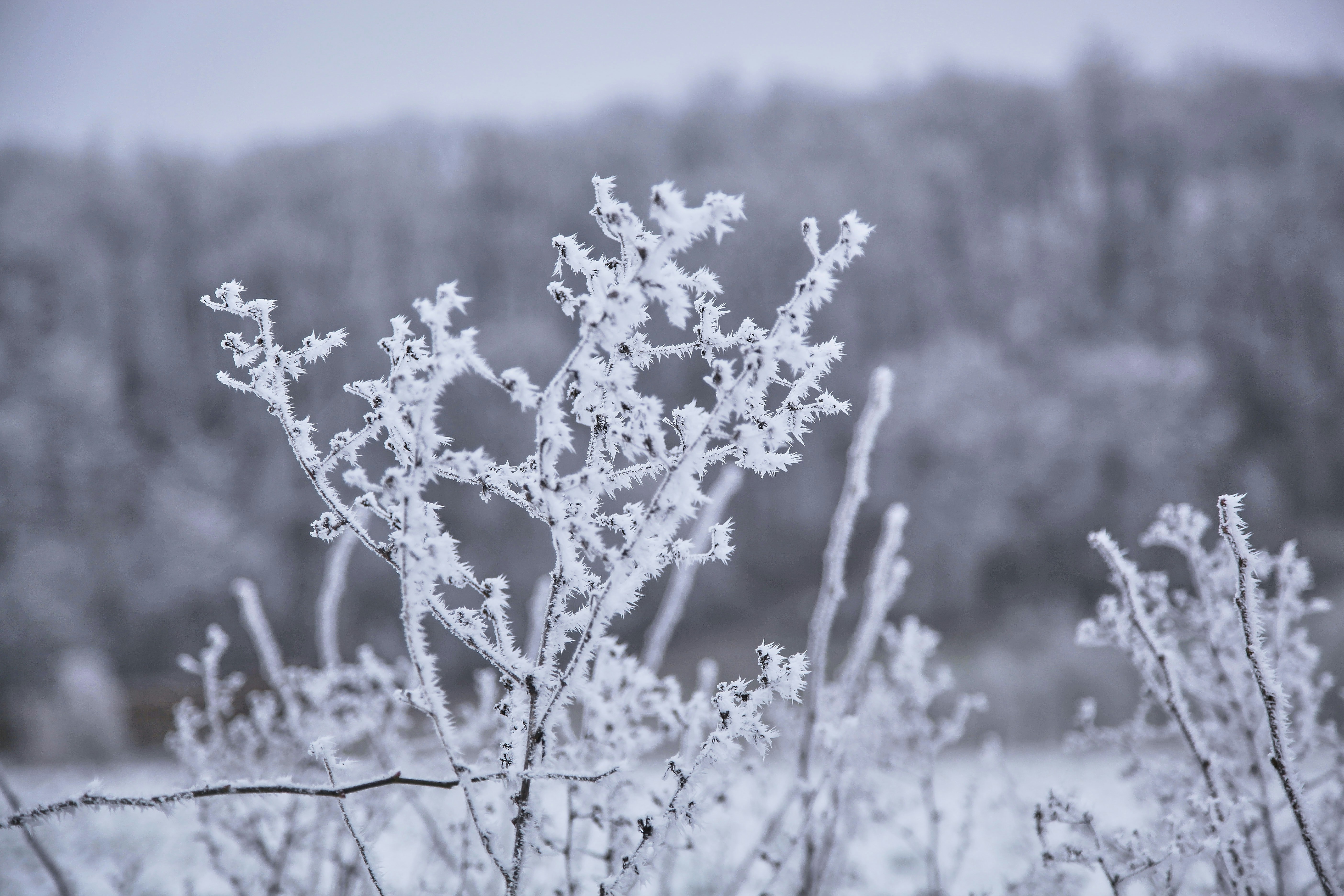 Photo by quadratmedia