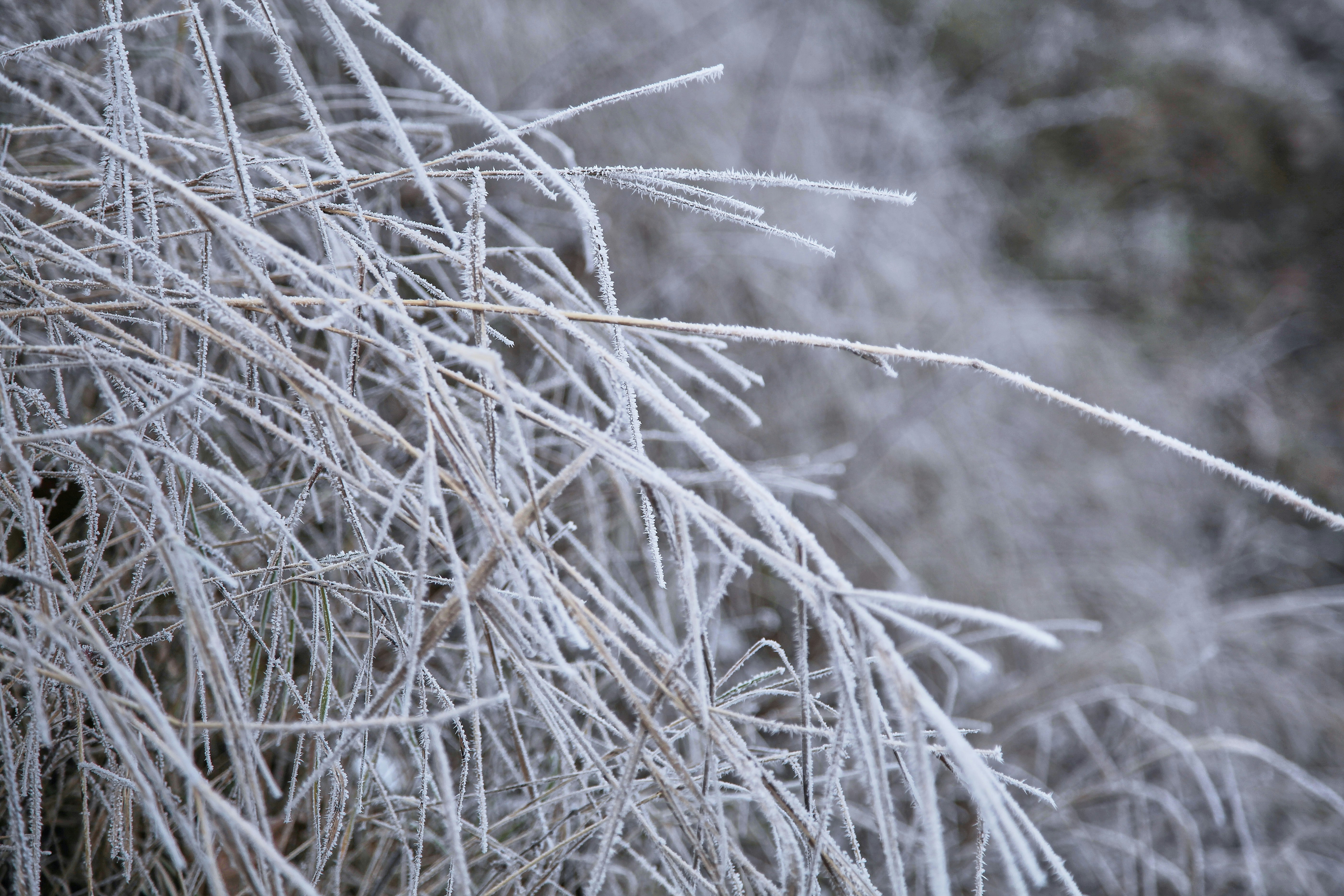 Photo by quadratmedia