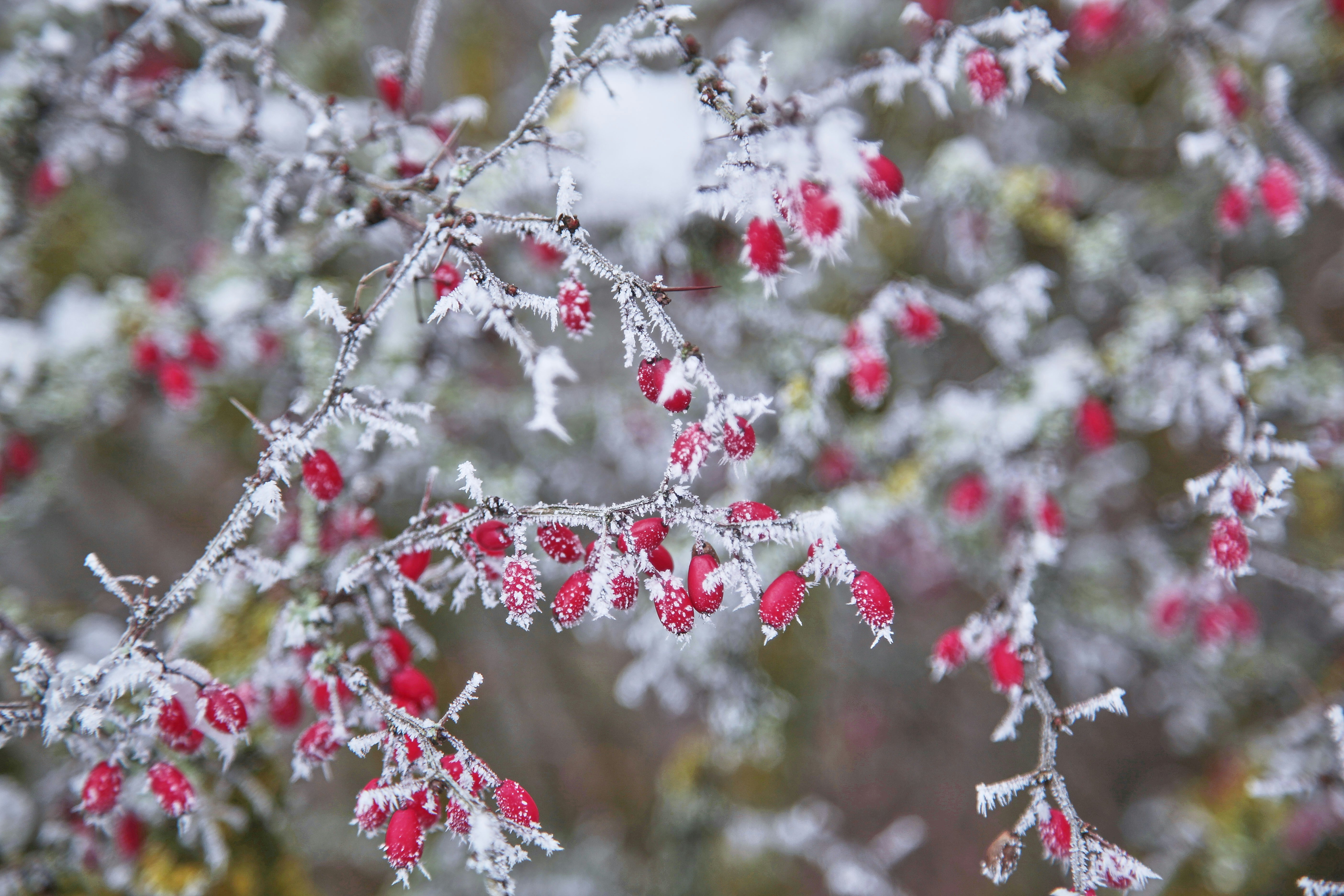 Photo by quadratmedia