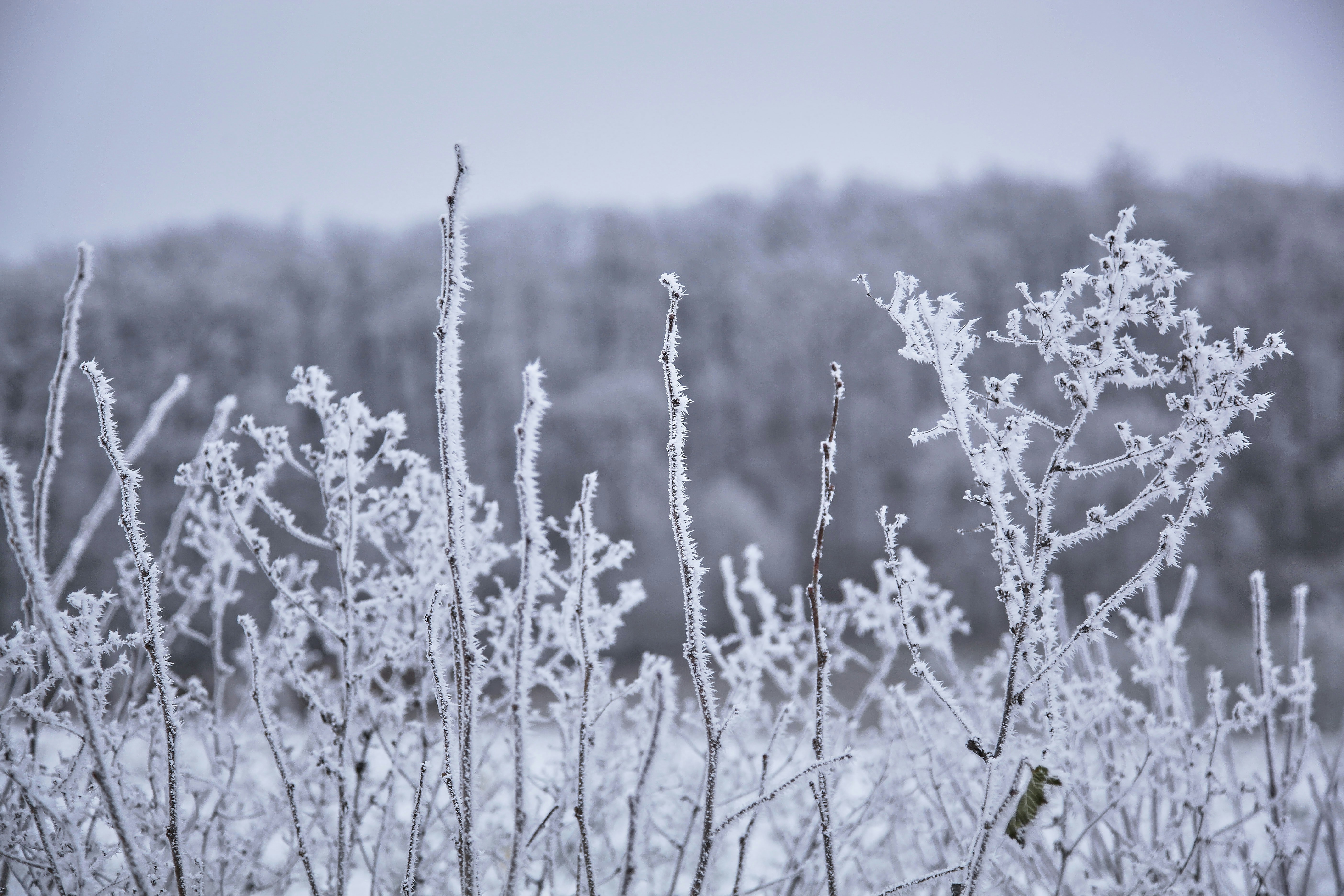 Photo by quadratmedia