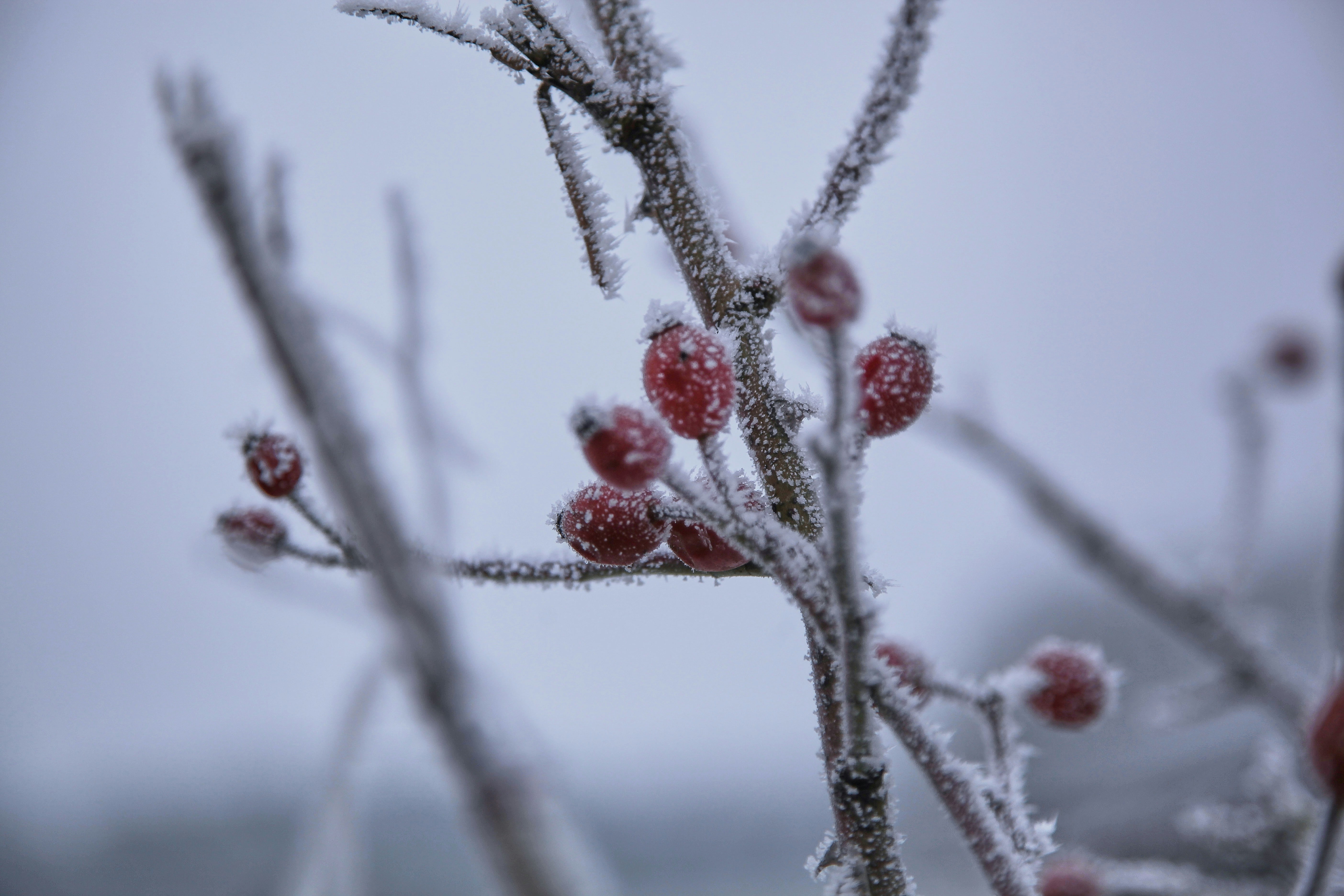 Photo by quadratmedia