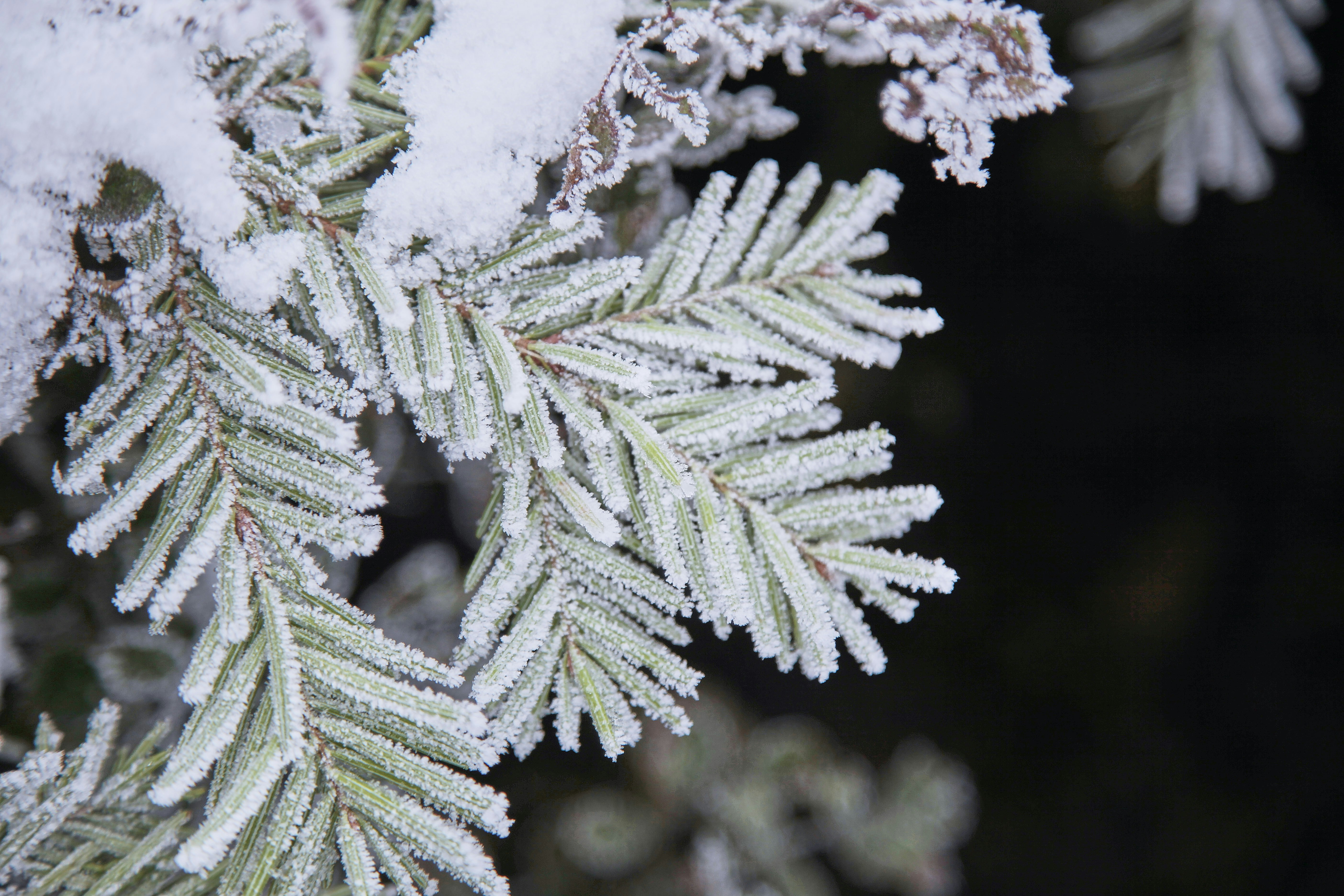 Photo by quadratmedia