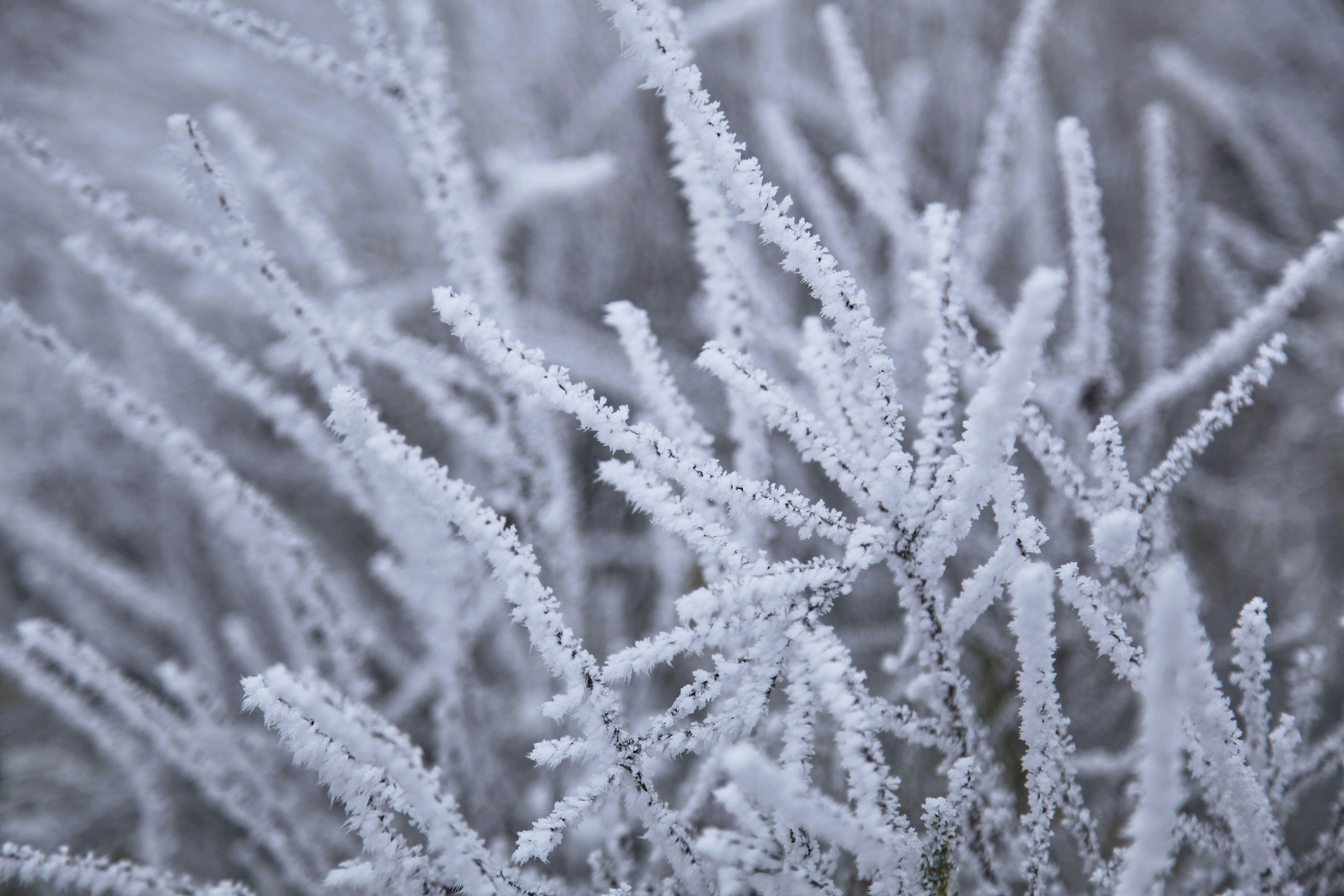 Photo by quadratmedia