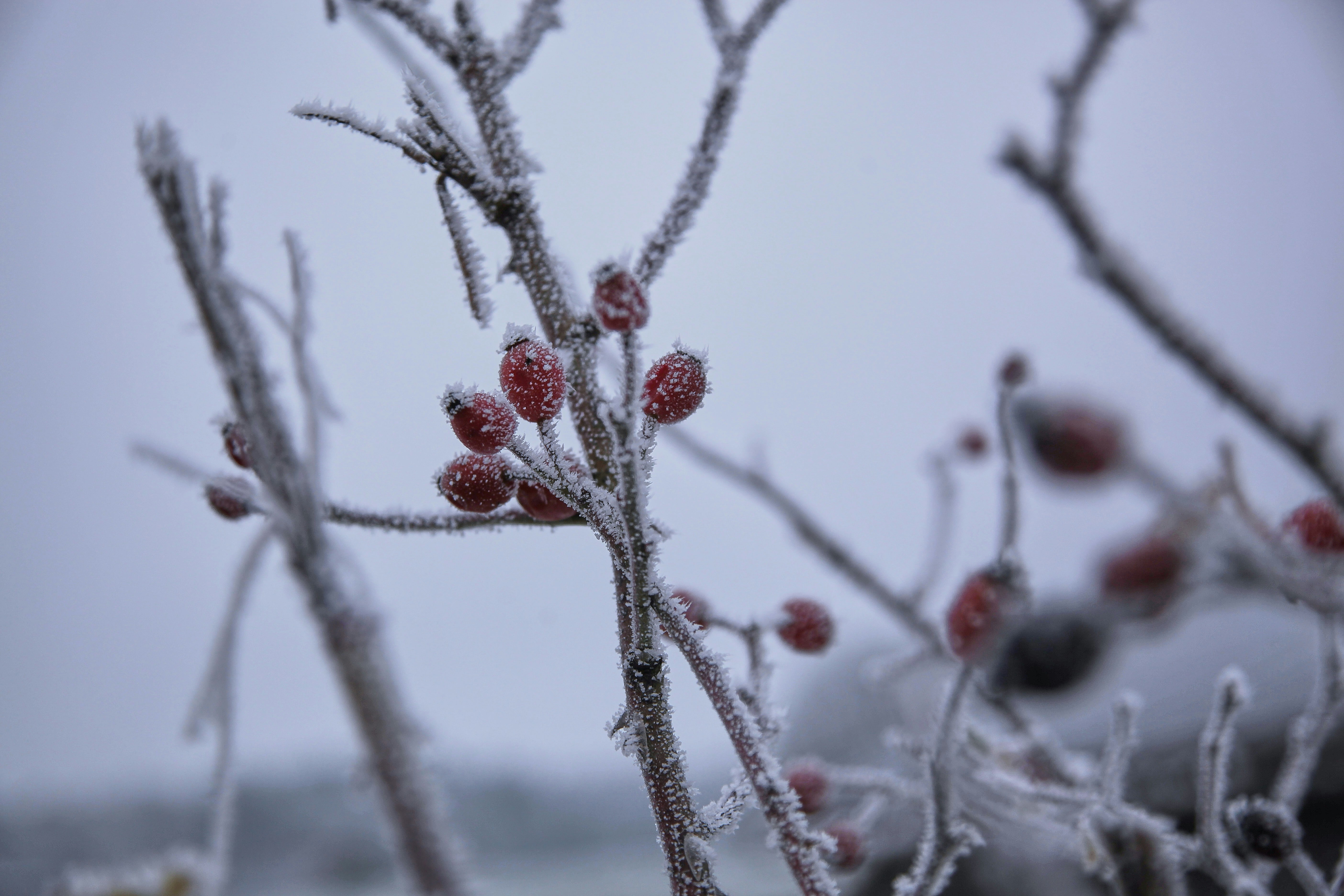 Photo by quadratmedia