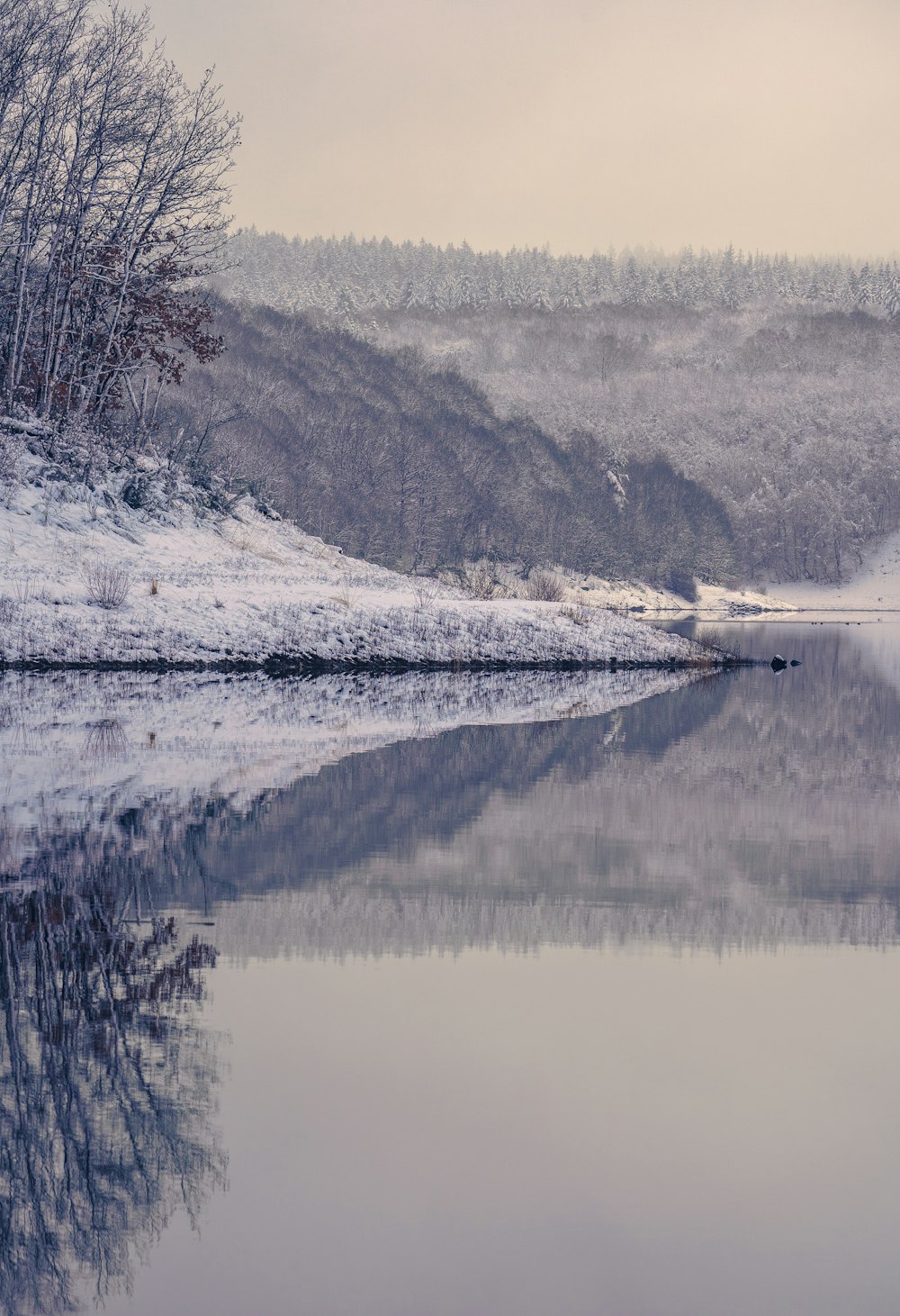 body of water near trees during daytime