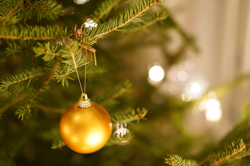 A gold ornament catching the light on a pine tree.