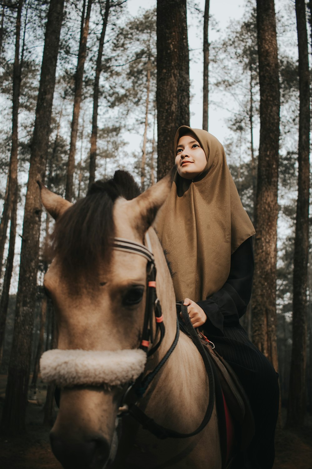 woman in brown hijab standing beside brown horse